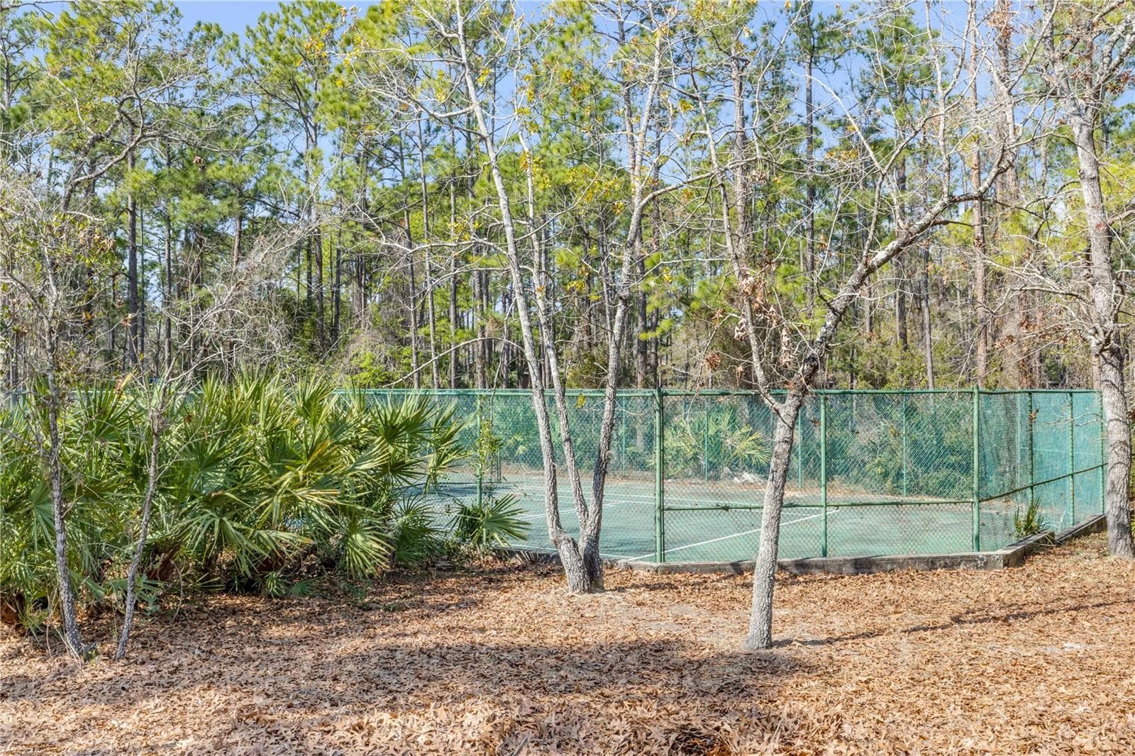 Single Family Residence at 47 CROOKED PINE RD, PORT ORANGE, photo 38 of 40