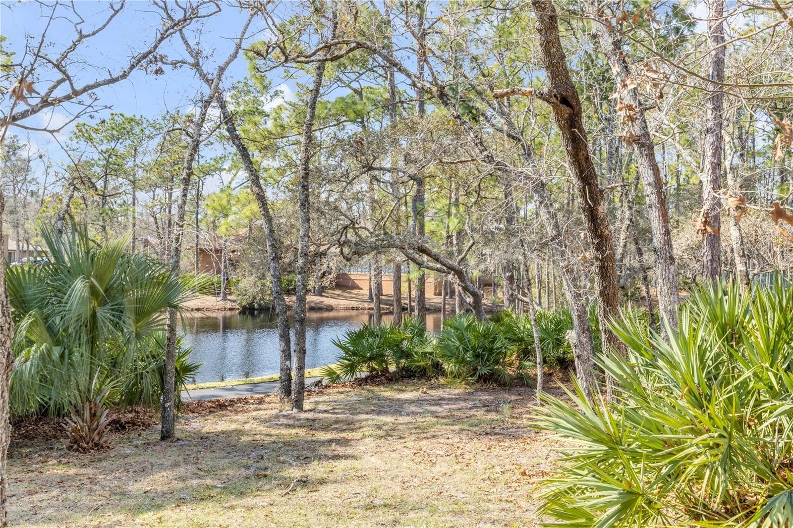 backyard view - 47 CROOKED PINE RD, PORT ORANGE