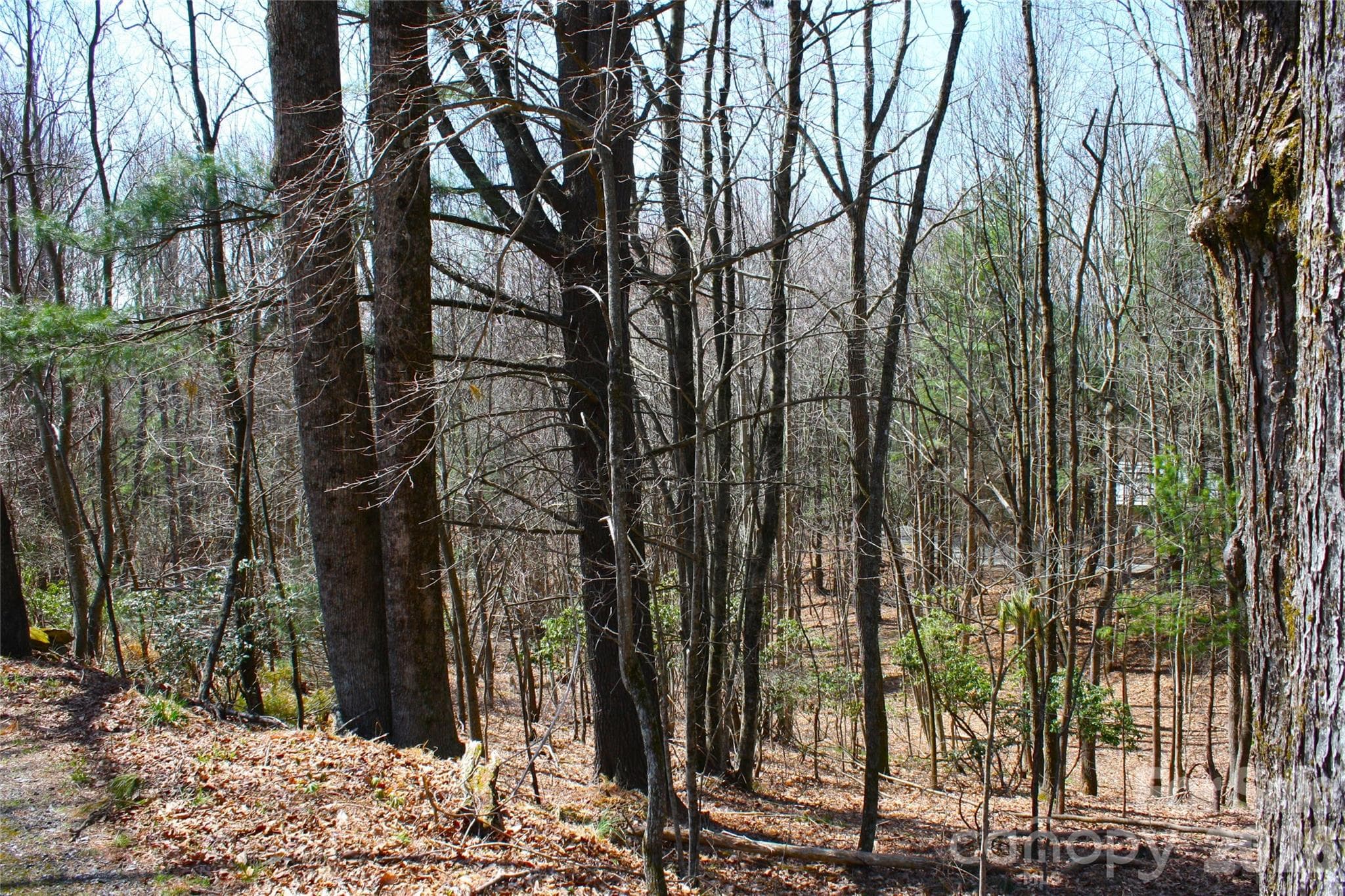 Lot at Brevard, photo 3 of 9