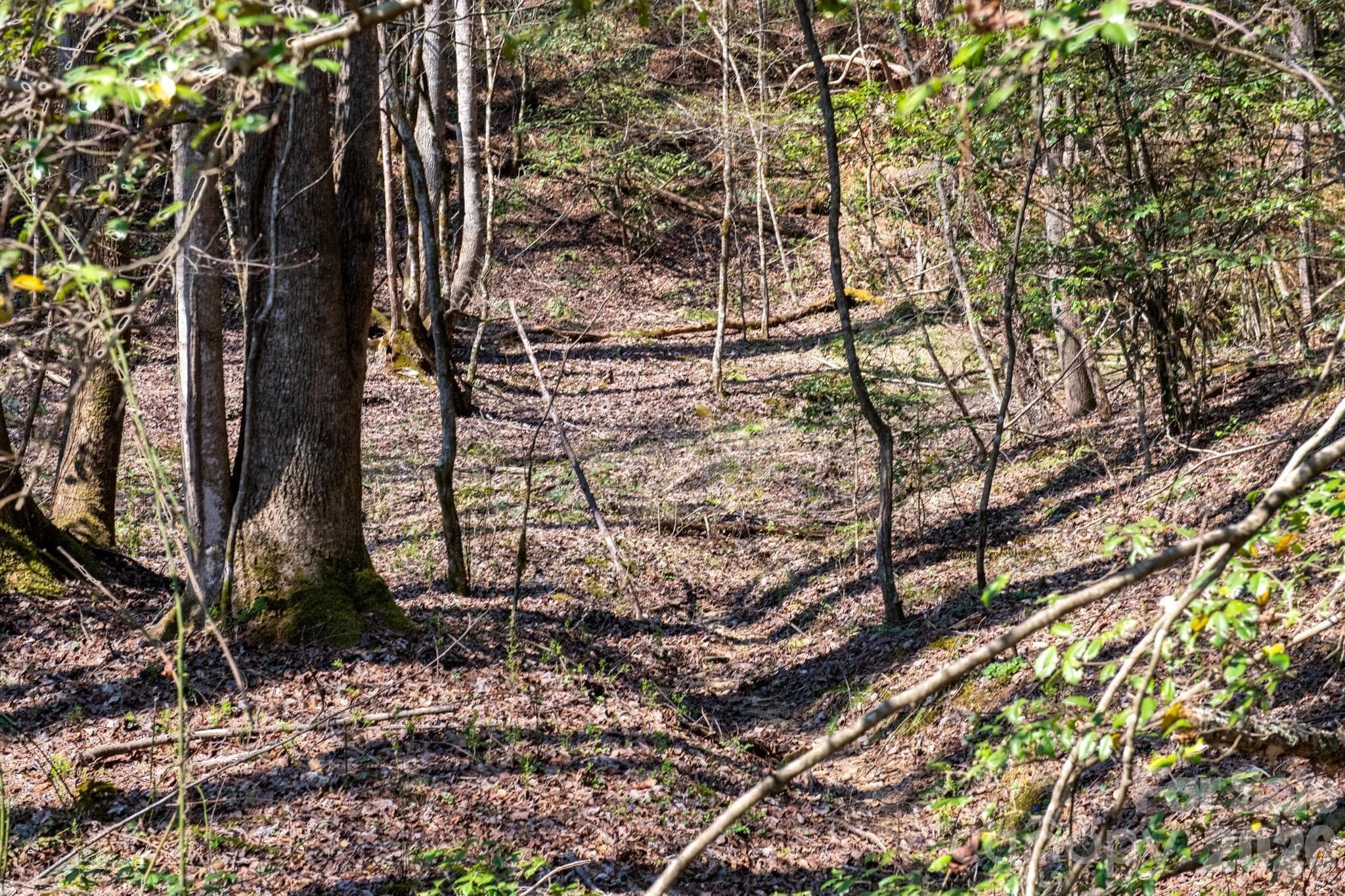 Lot at TBD Ritter Ridge Lane, Collettsville, photo 22 of 43
