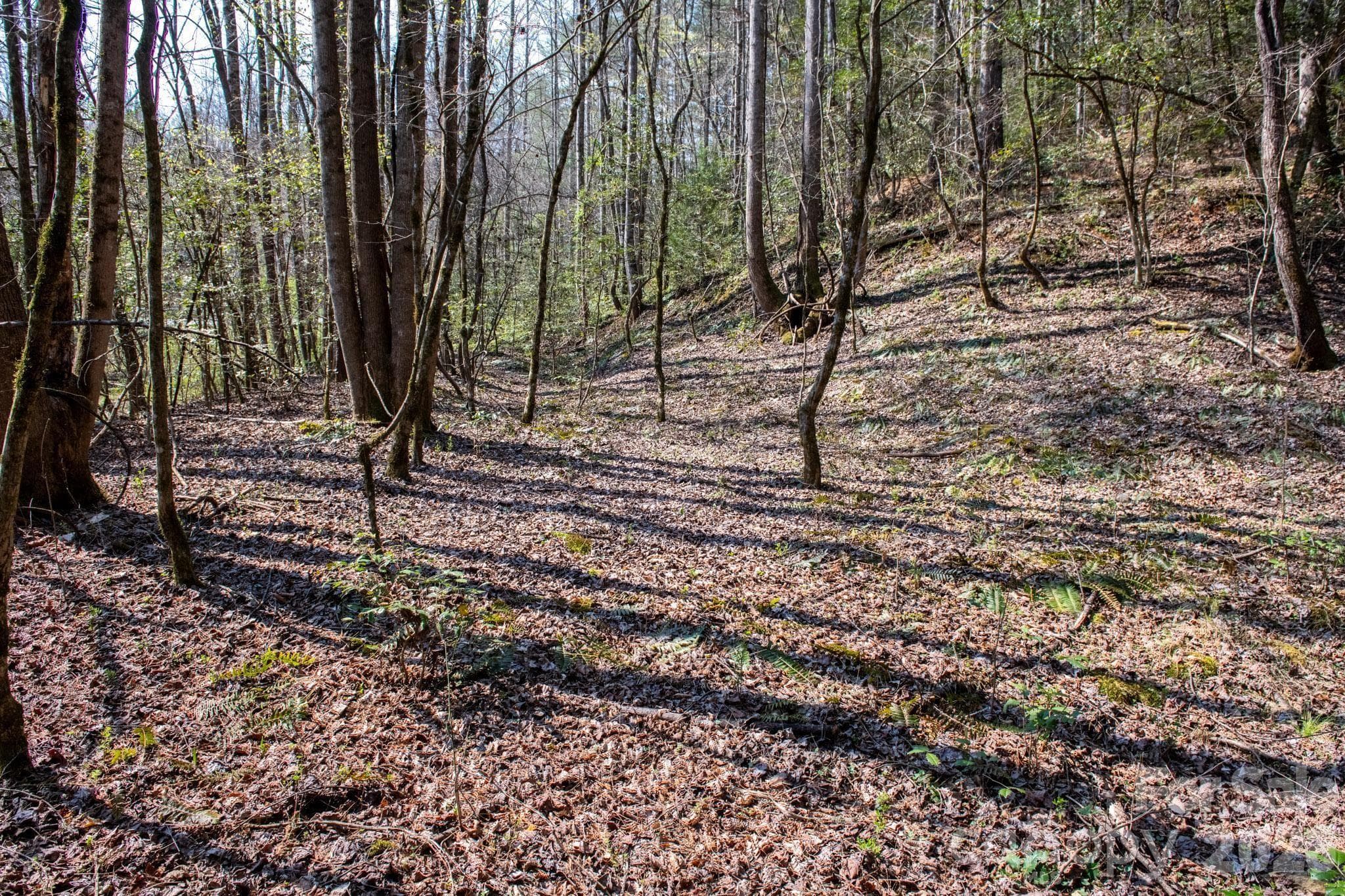 Lot at TBD Ritter Ridge Lane, Collettsville, photo 23 of 43