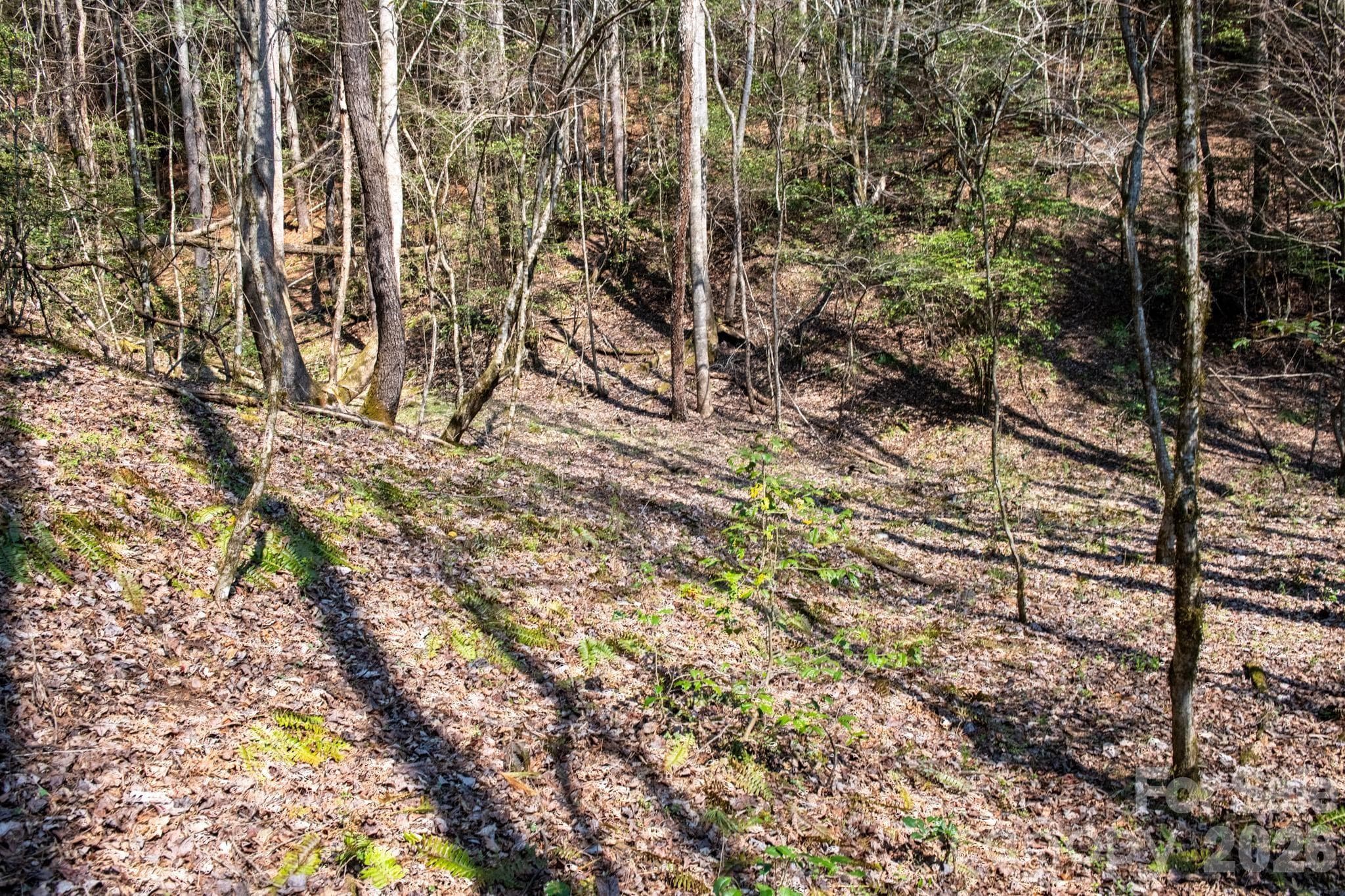 Lot at TBD Ritter Ridge Lane, Collettsville, photo 24 of 43