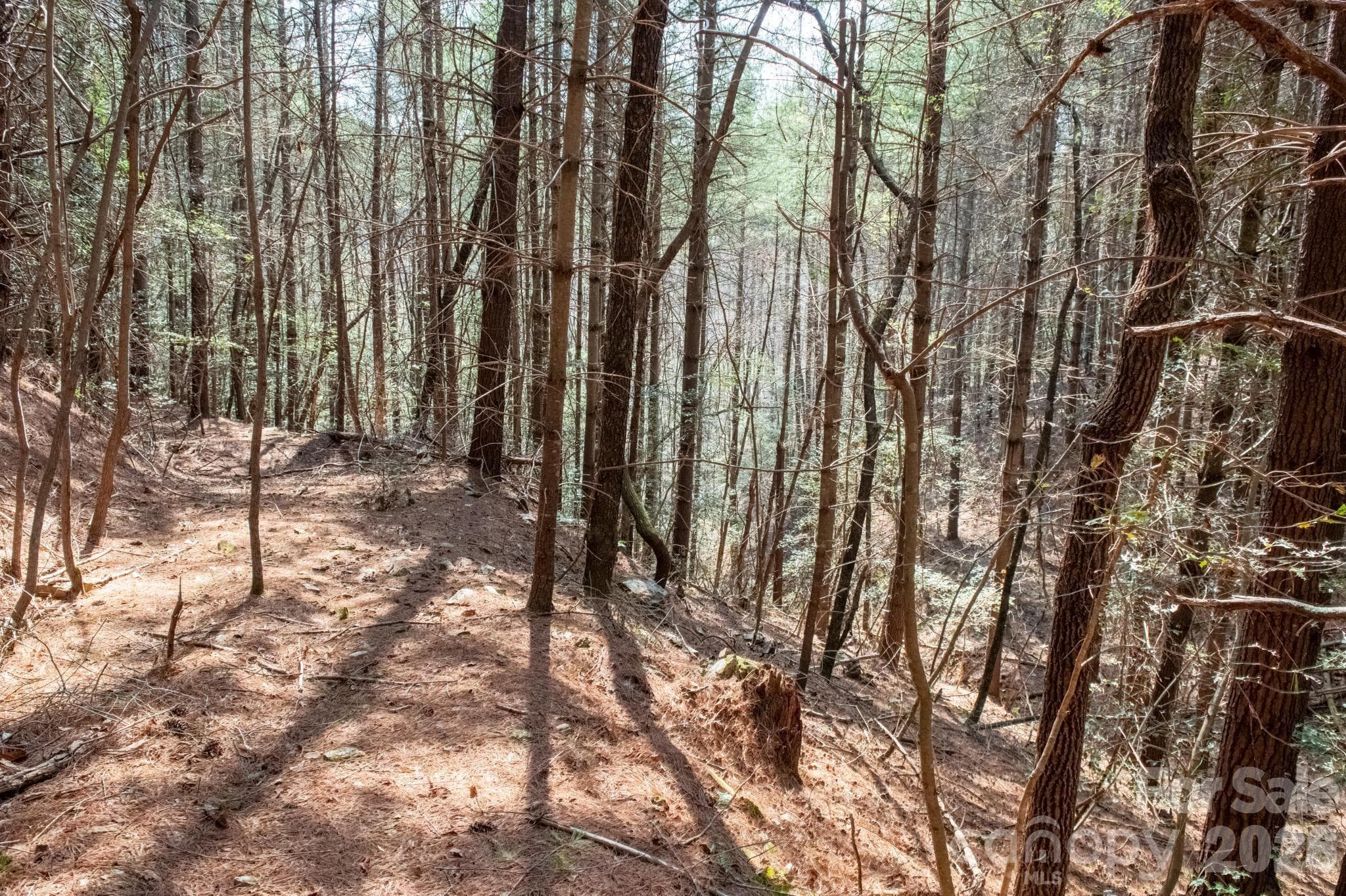 Lot at TBD Ritter Ridge Lane, Collettsville, photo 29 of 43