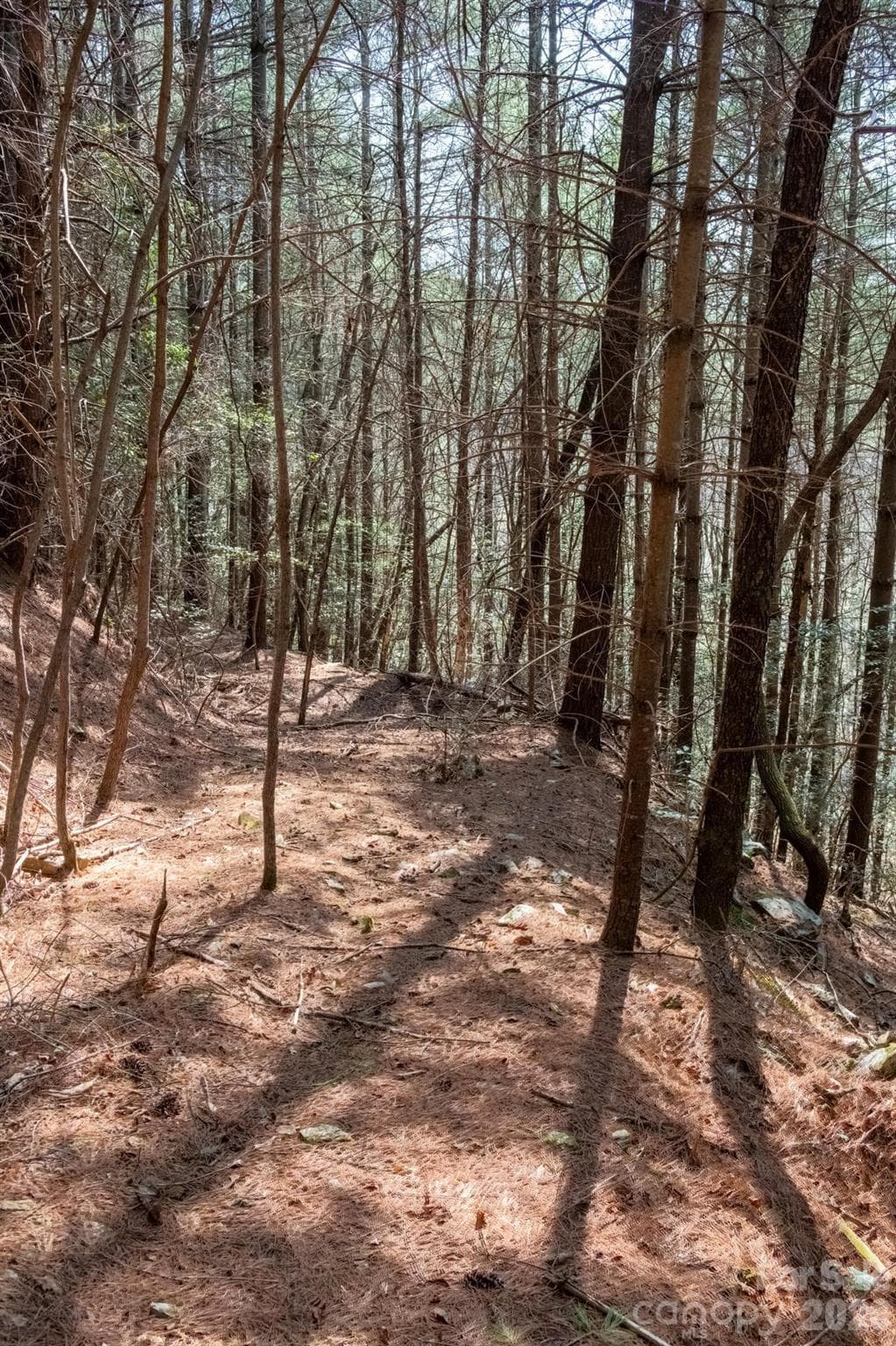 Lot at TBD Ritter Ridge Lane, Collettsville, photo 30 of 43