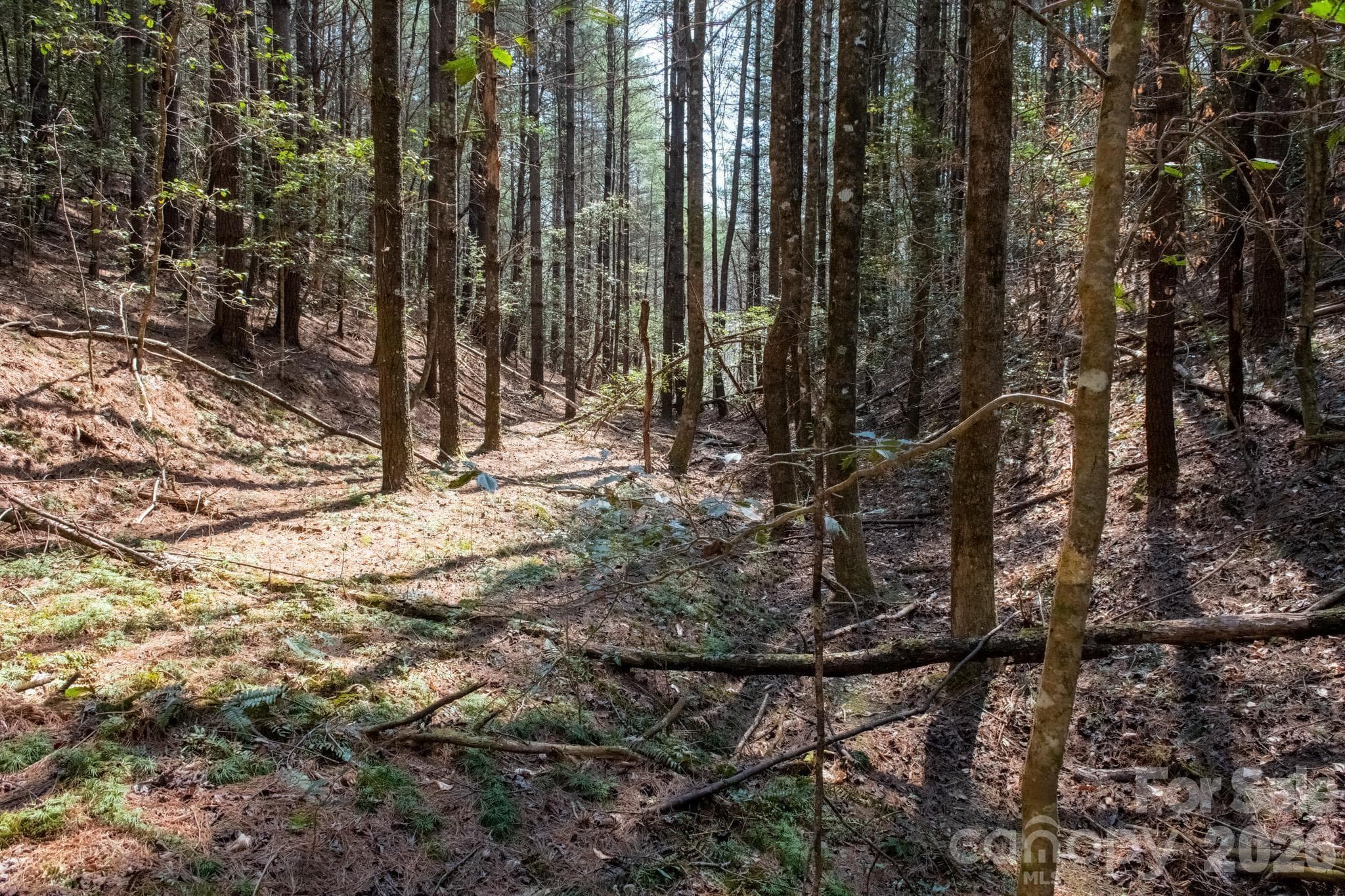 Lot at TBD Ritter Ridge Lane, Collettsville, photo 31 of 43