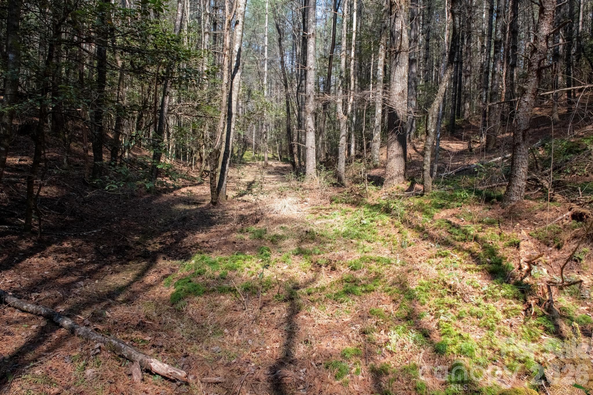 Lot at TBD Ritter Ridge Lane, Collettsville, photo 32 of 43
