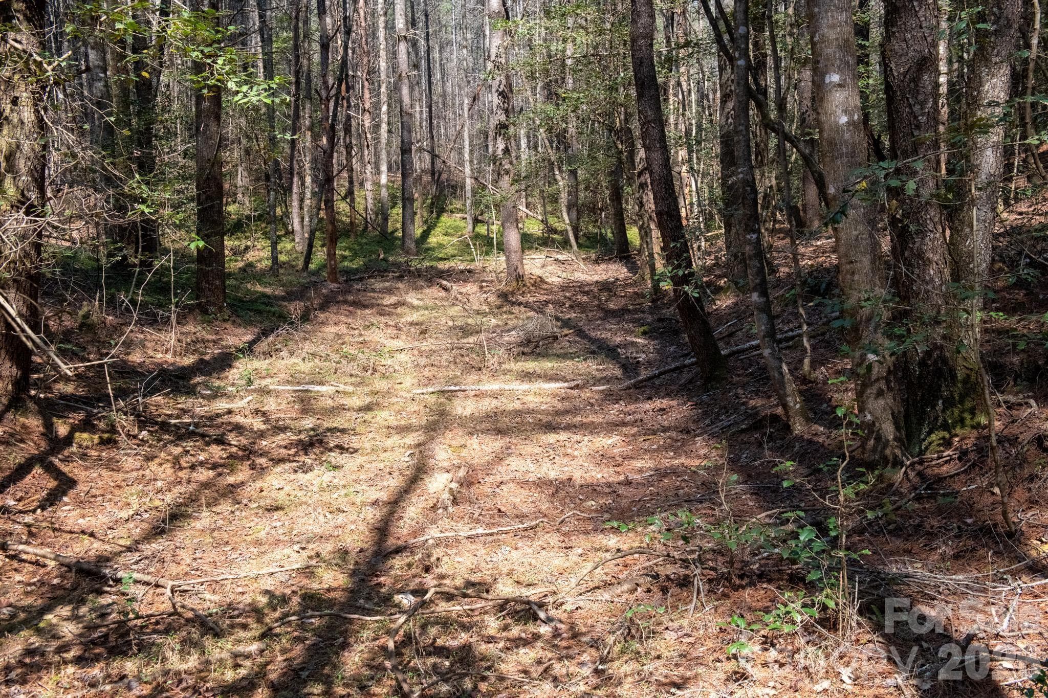 Lot at TBD Ritter Ridge Lane, Collettsville, photo 33 of 43
