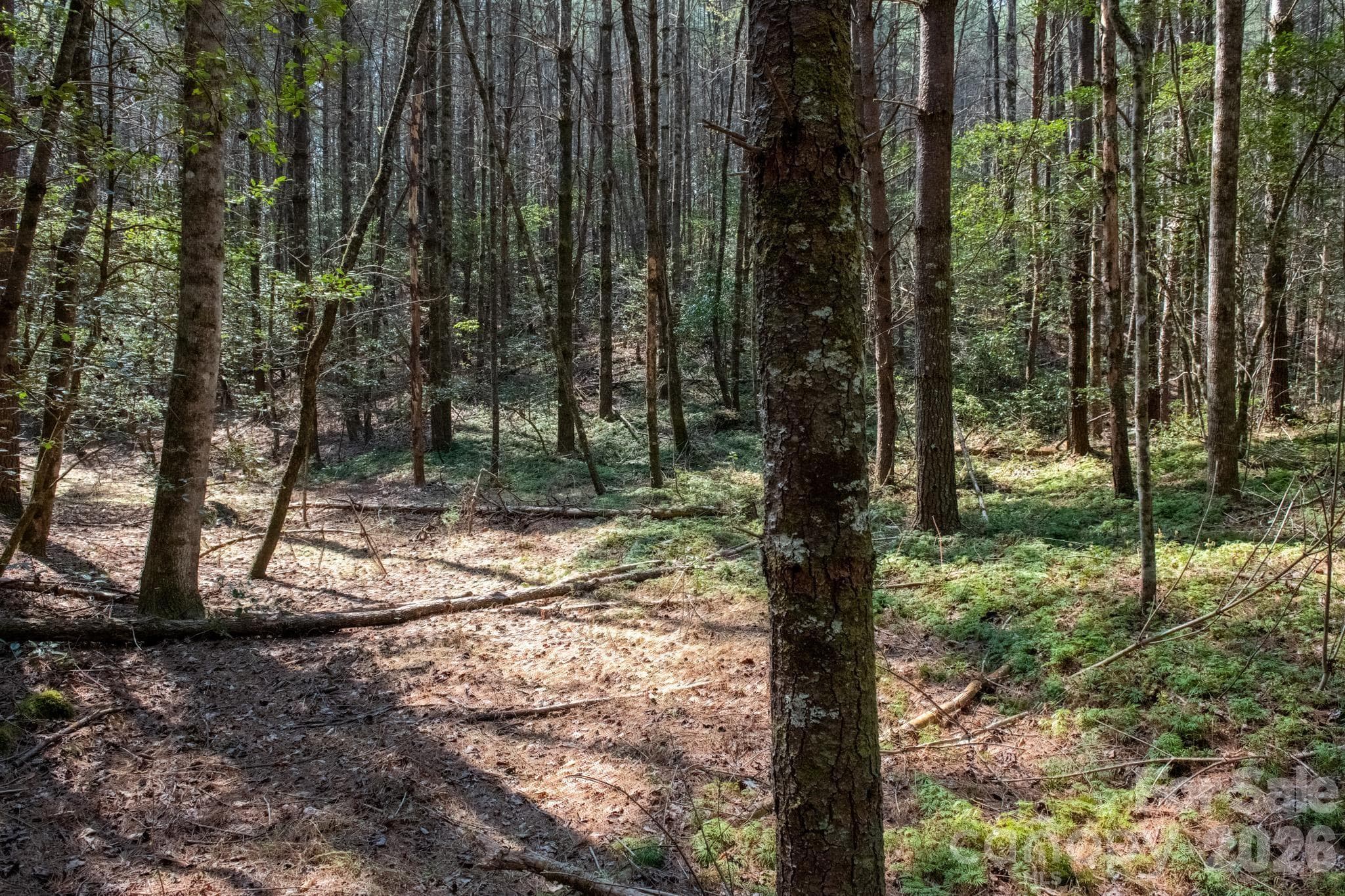 Lot at TBD Ritter Ridge Lane, Collettsville, photo 34 of 43