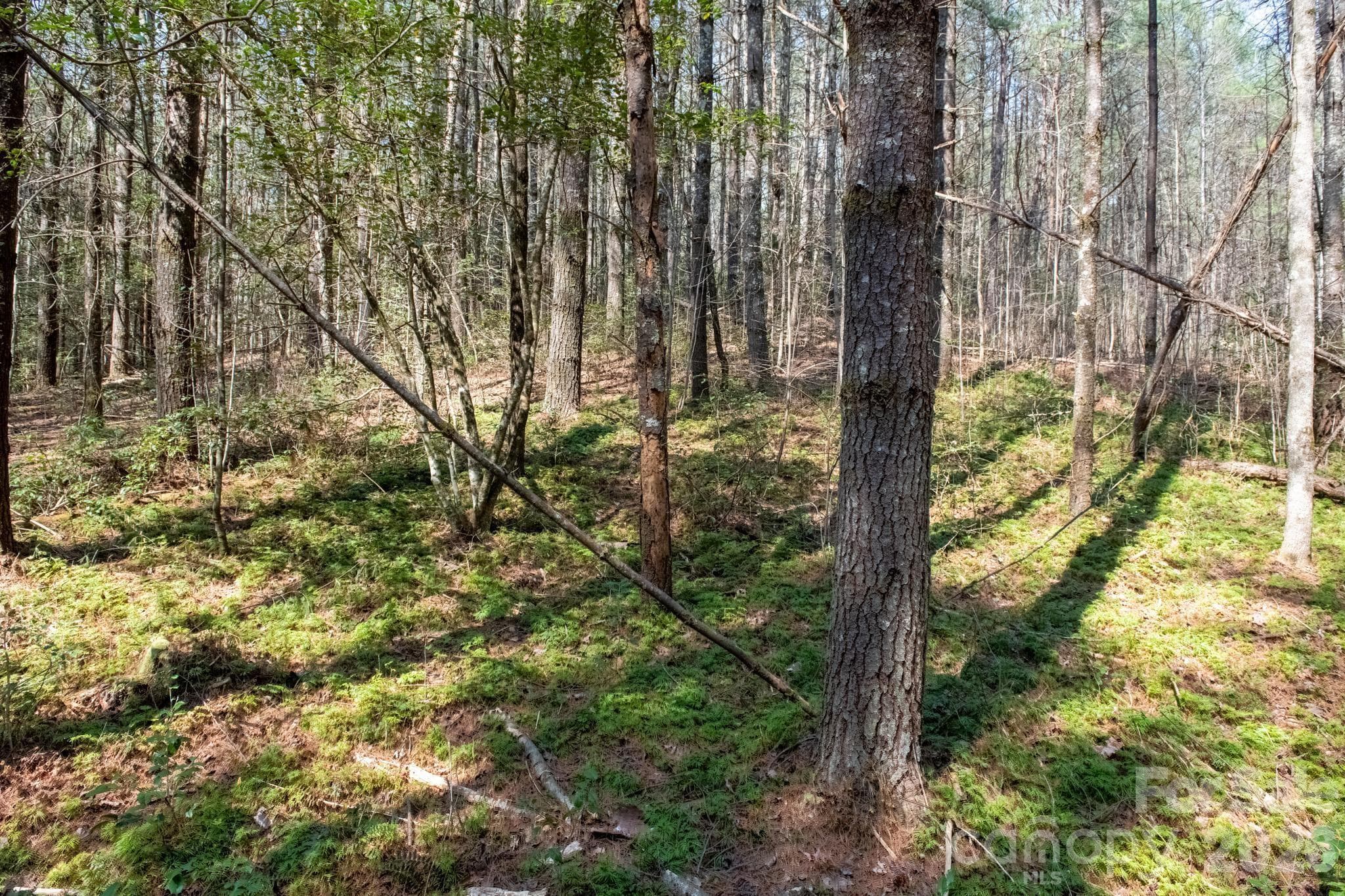 Lot at TBD Ritter Ridge Lane, Collettsville, photo 36 of 43