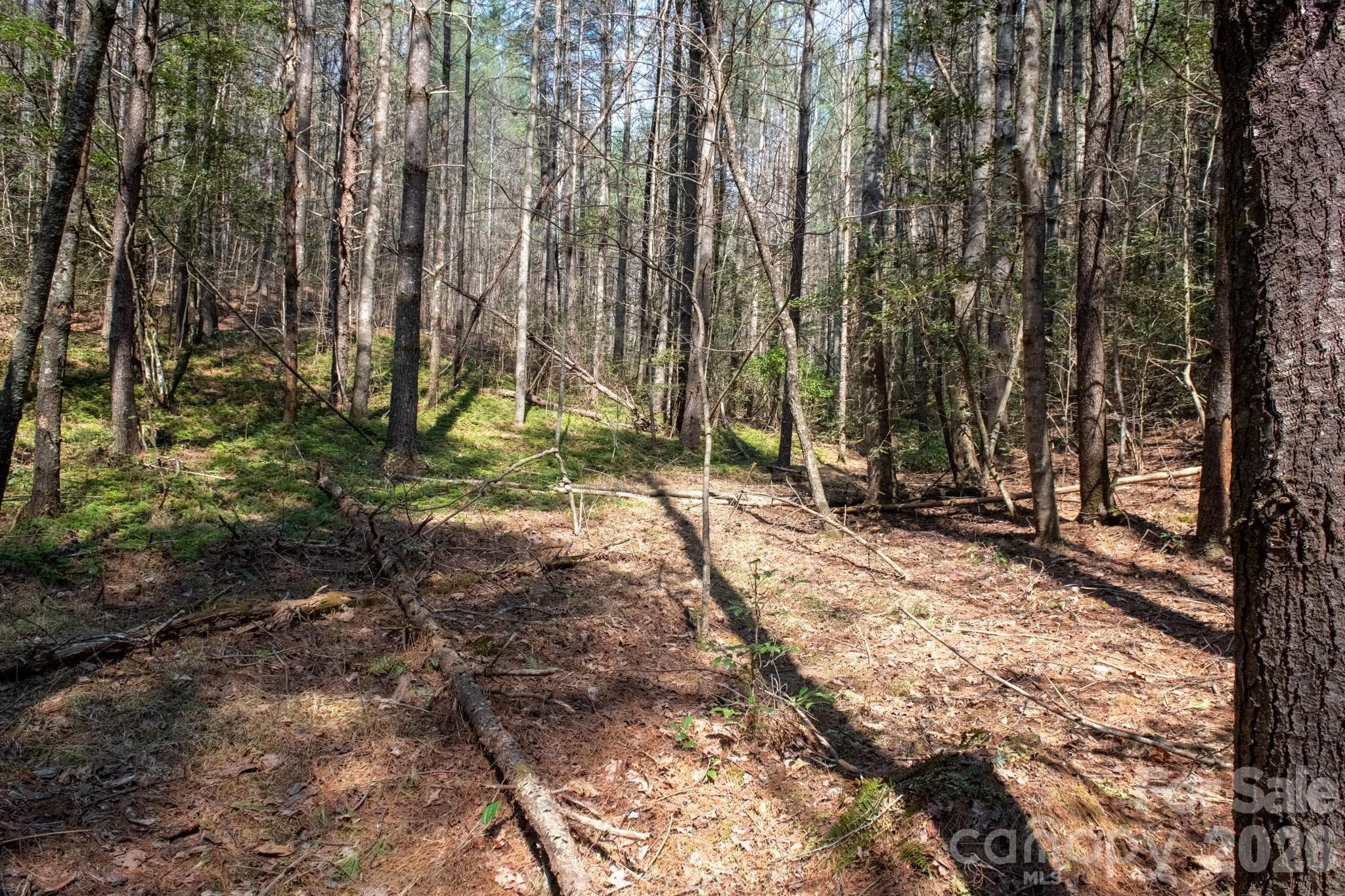Lot at TBD Ritter Ridge Lane, Collettsville, photo 37 of 43