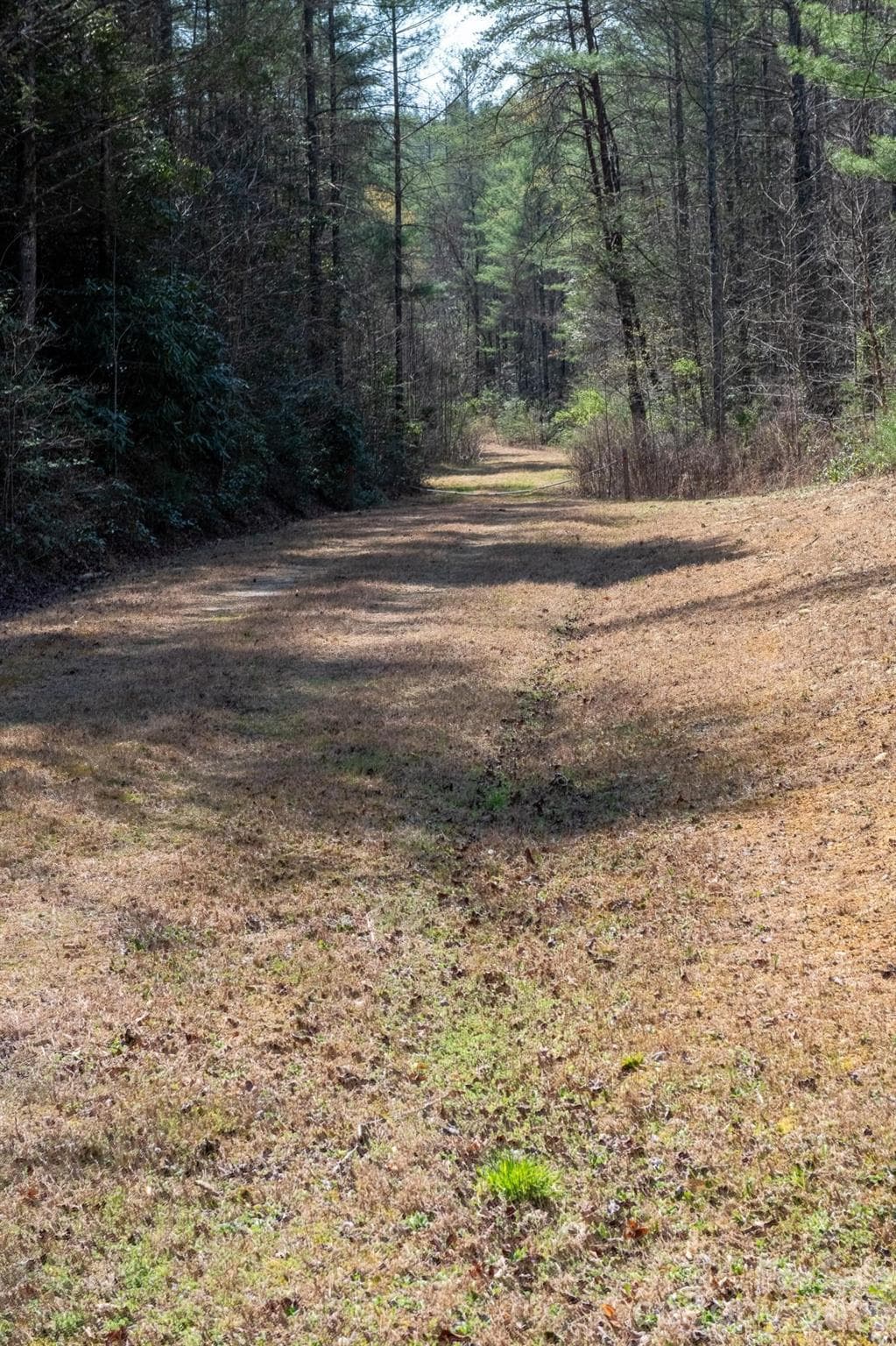Lot at TBD Ritter Ridge Lane, Collettsville, photo 41 of 43
