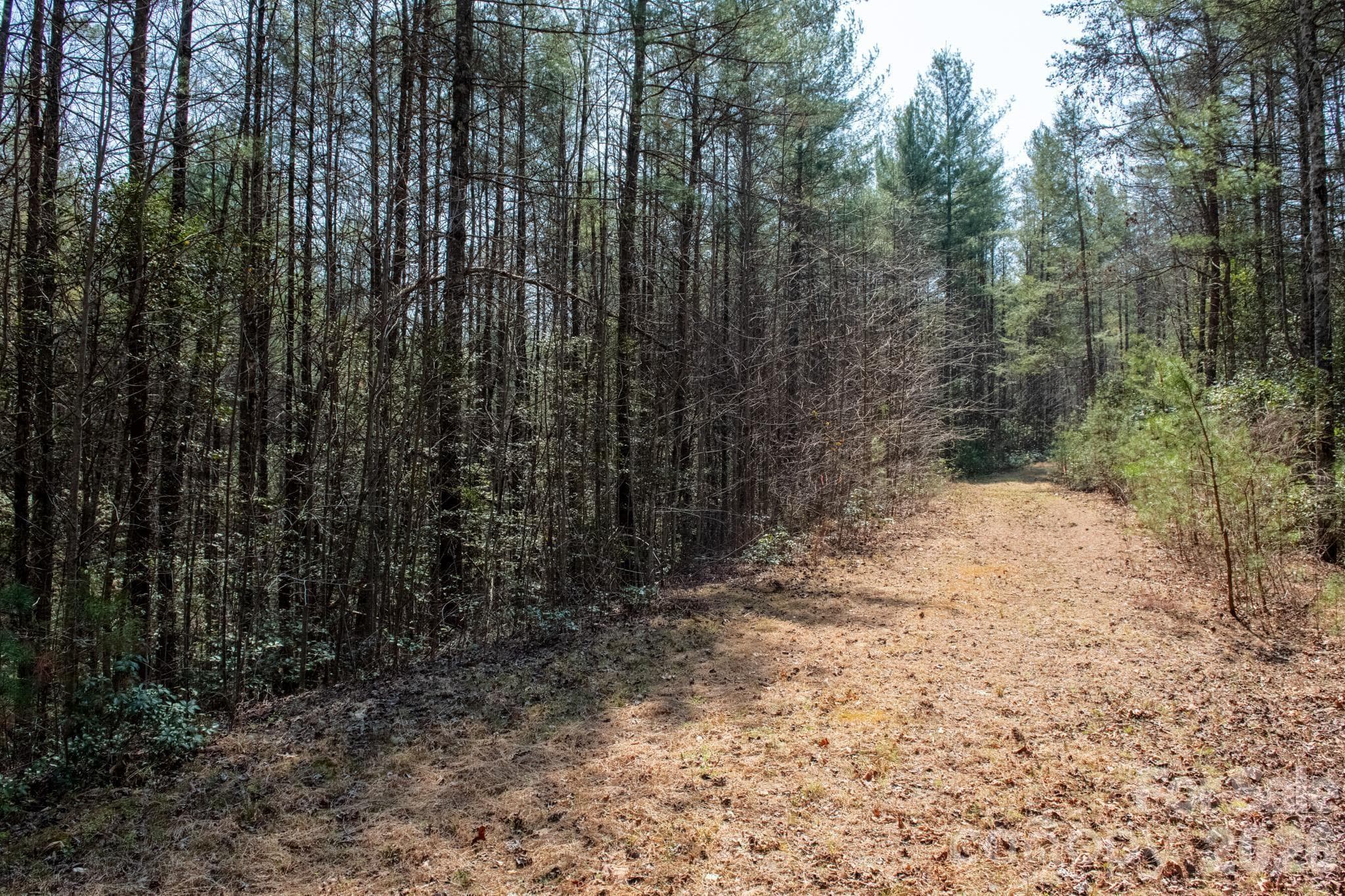 Lot at TBD Ritter Ridge Lane, Collettsville, photo 42 of 43