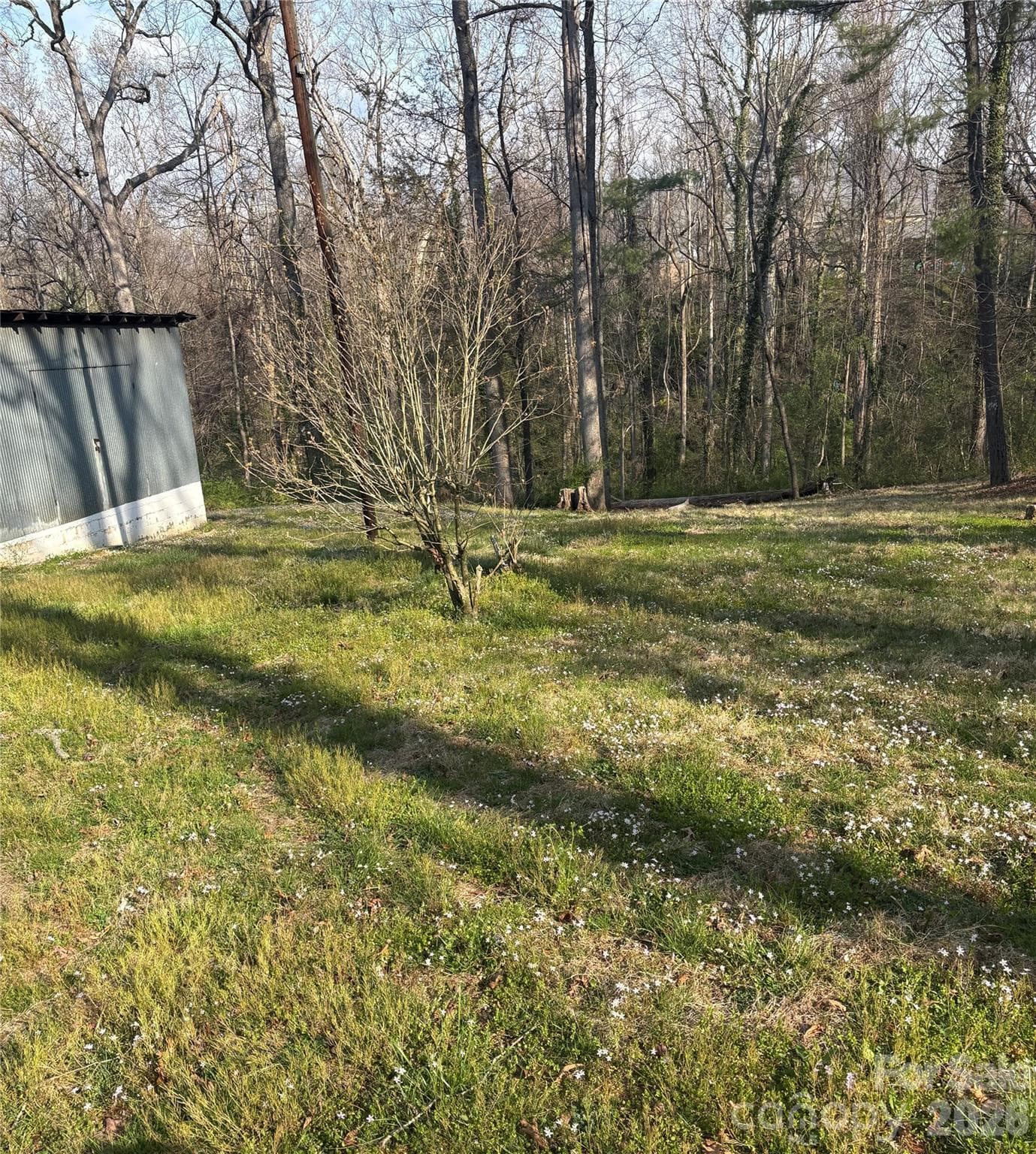 Property off driveway - Asheville
