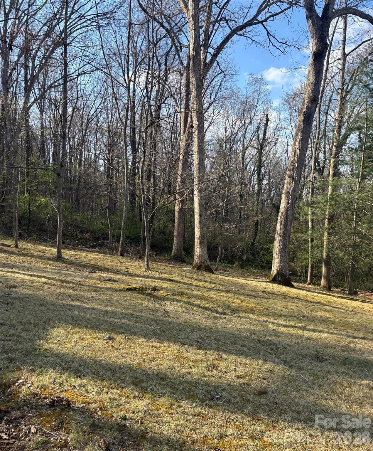 Property in front of House - Asheville