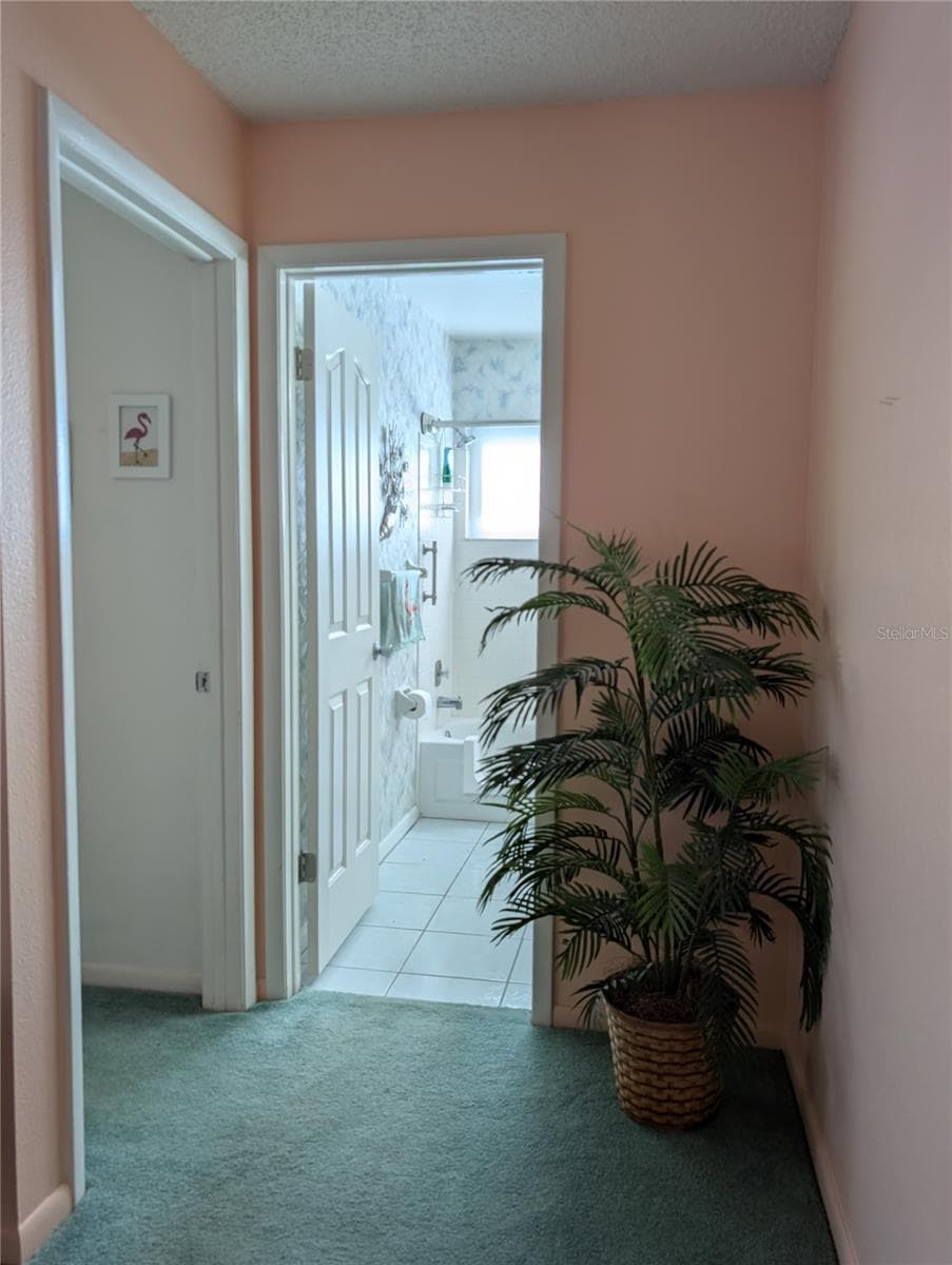 View of Guest bedroom entry next to main bathroom. - 9204 36TH WAY N #6, PINELLAS PARK