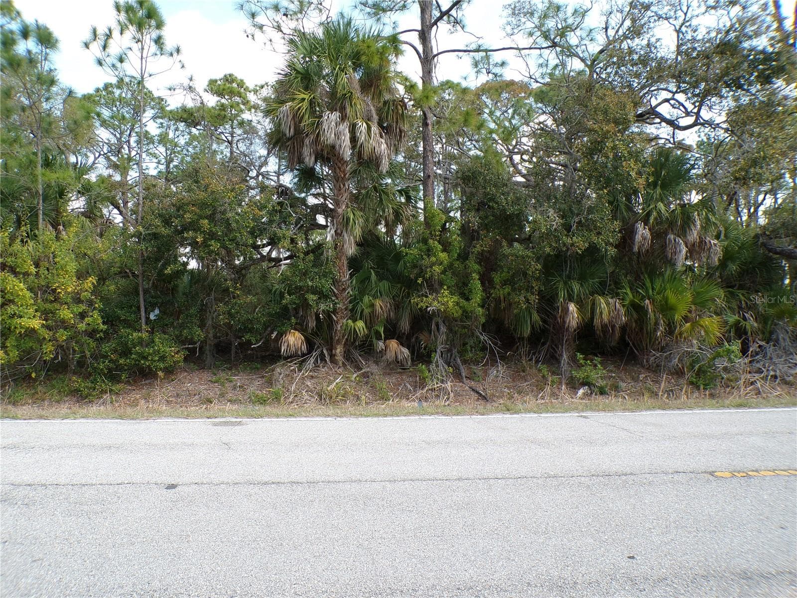 1316 BISCAYNE DR