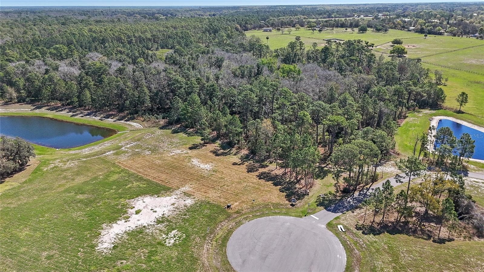 Land at 20280 SHORELINE RANCH LN, UMATILLA, photo 9 of 12