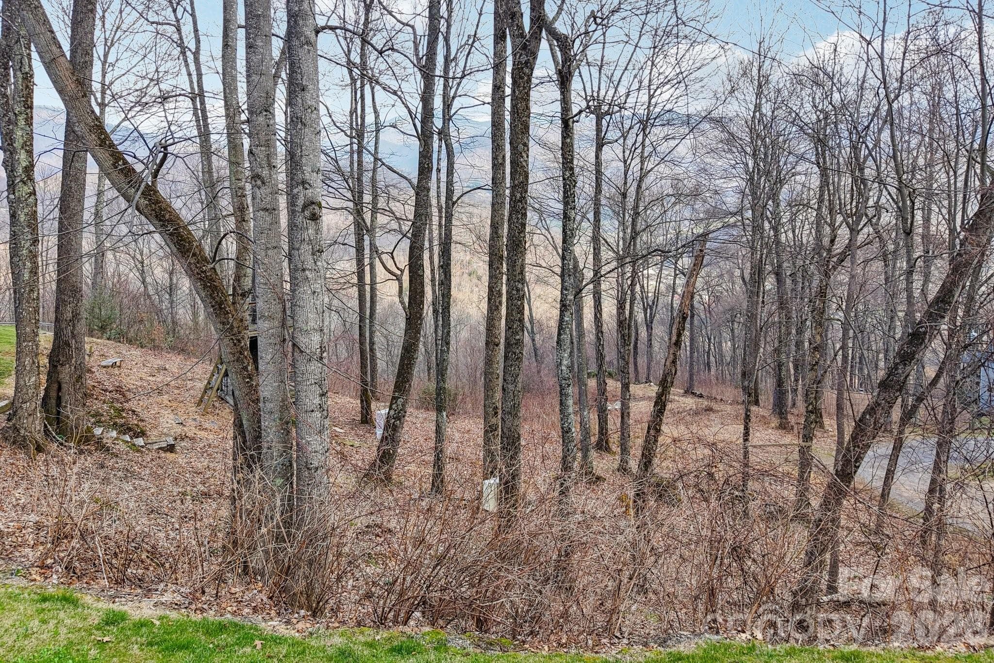 Lot at Maggie Valley, photo 12 of 20