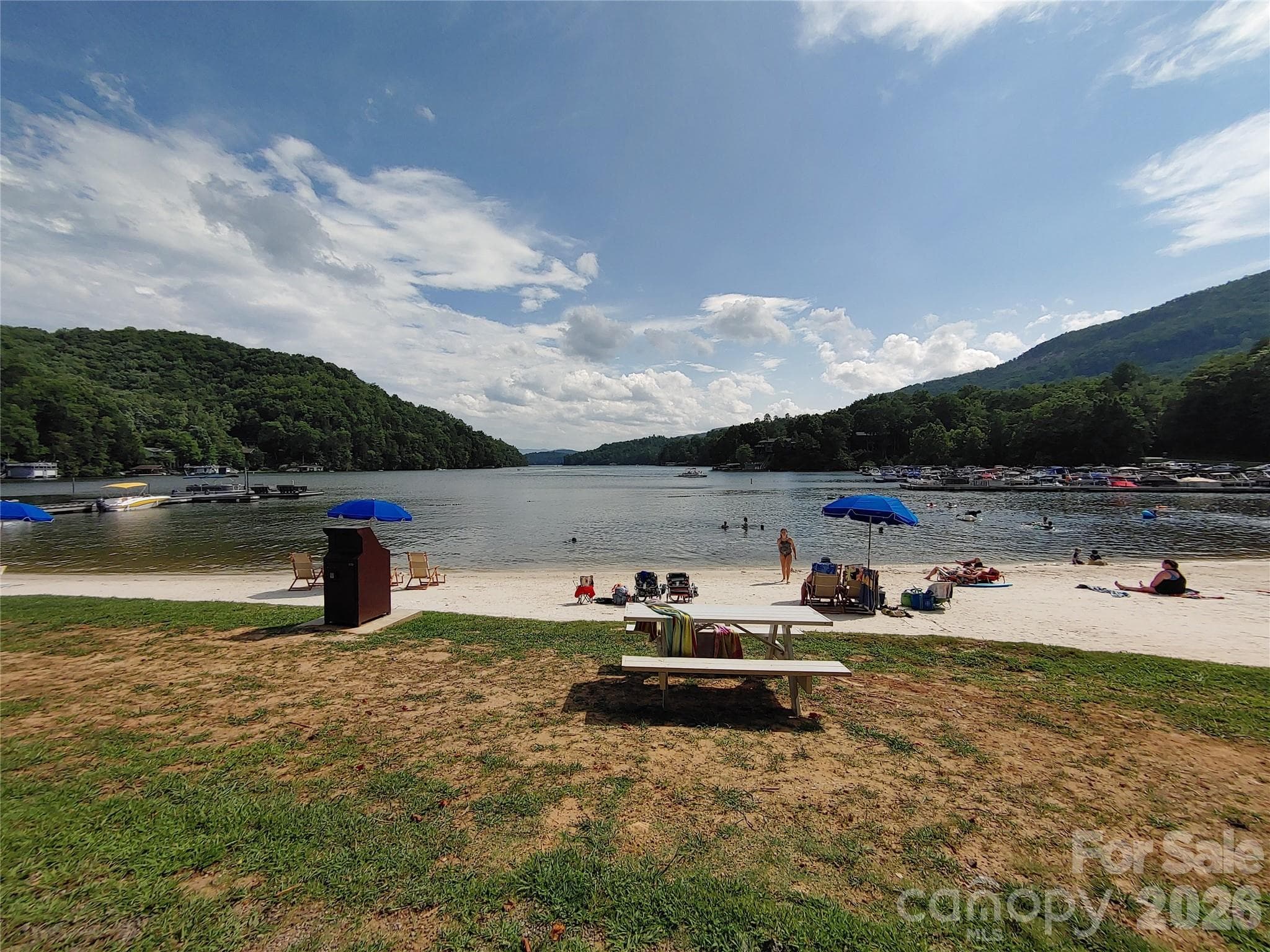Single Family Residence at 225 Sheepnose Drive, Lake Lure, photo 2 of 37