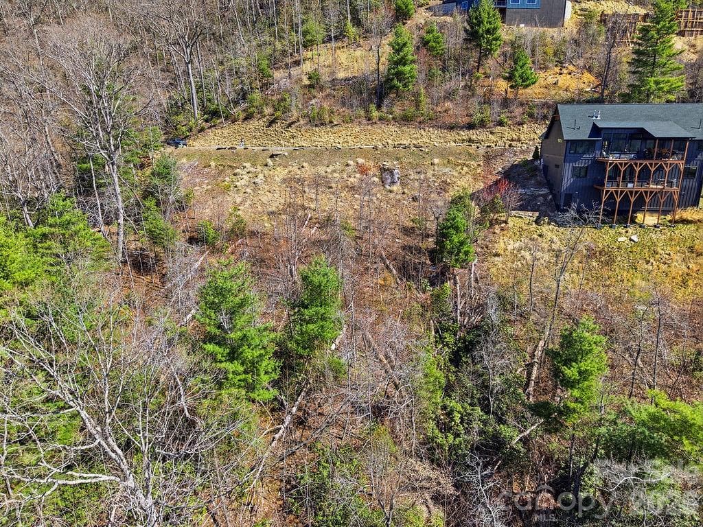 A part of the land has already been cleared. Septic Permit in place and Topo Survey completed. - 367 Curtain Bluff, Hendersonville