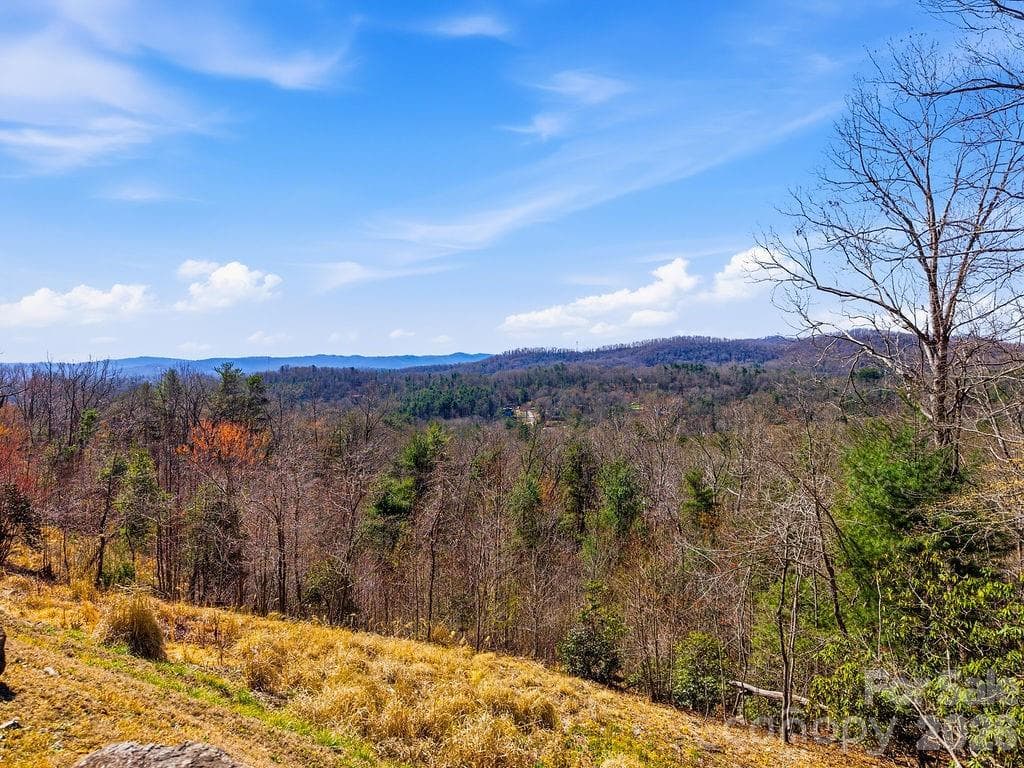 From the street looking towards the long-range mountain view. - 367 Curtain Bluff, Hendersonville
