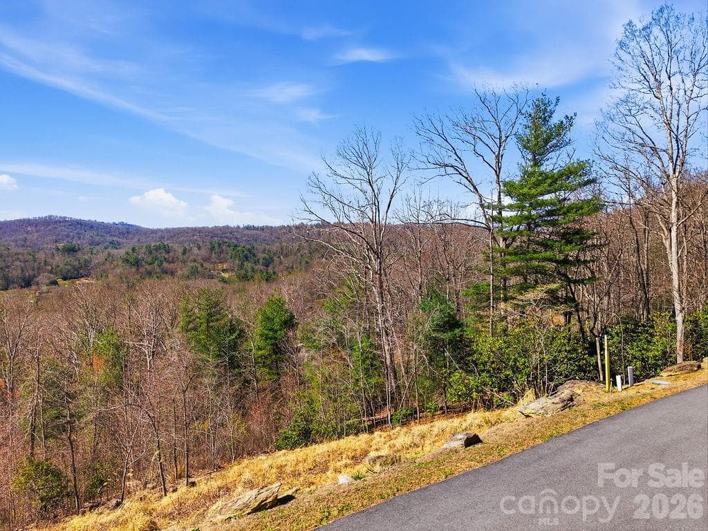Lot at 367 Curtain Bluff, Hendersonville, photo 12 of 17