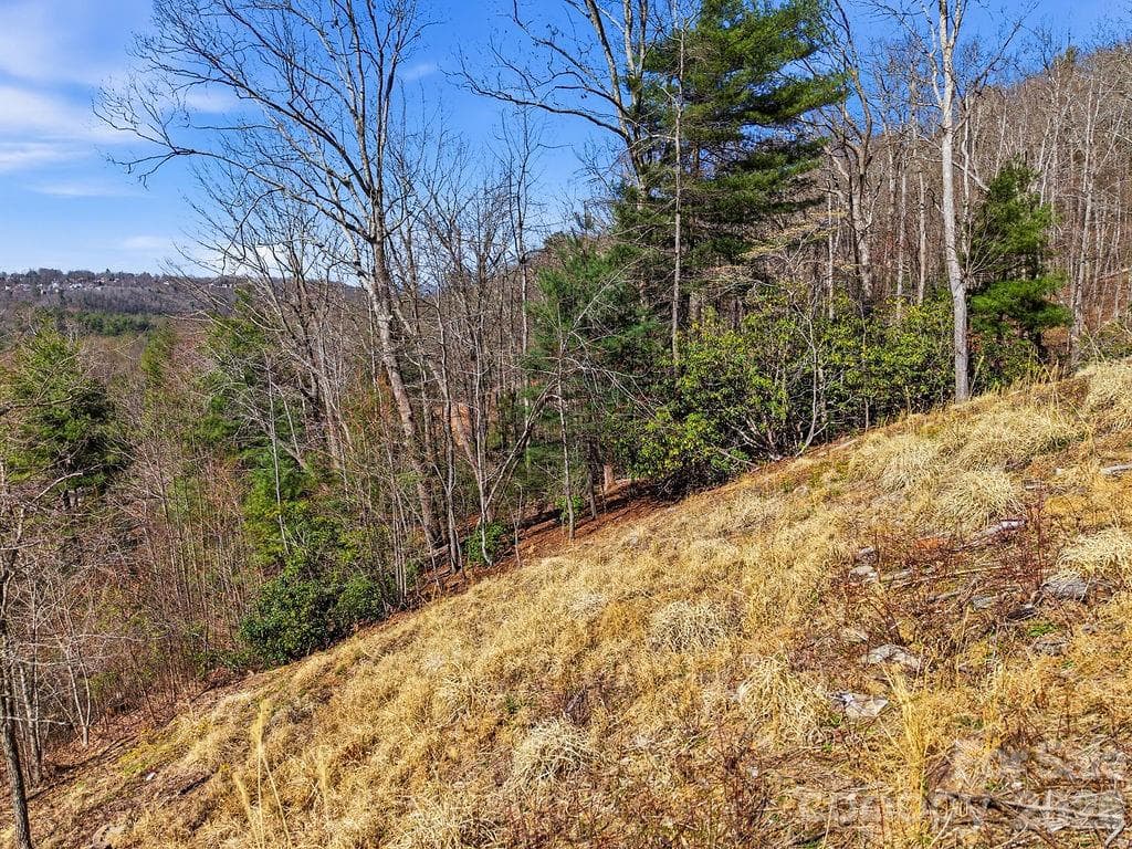 Lot at 367 Curtain Bluff, Hendersonville, photo 13 of 17