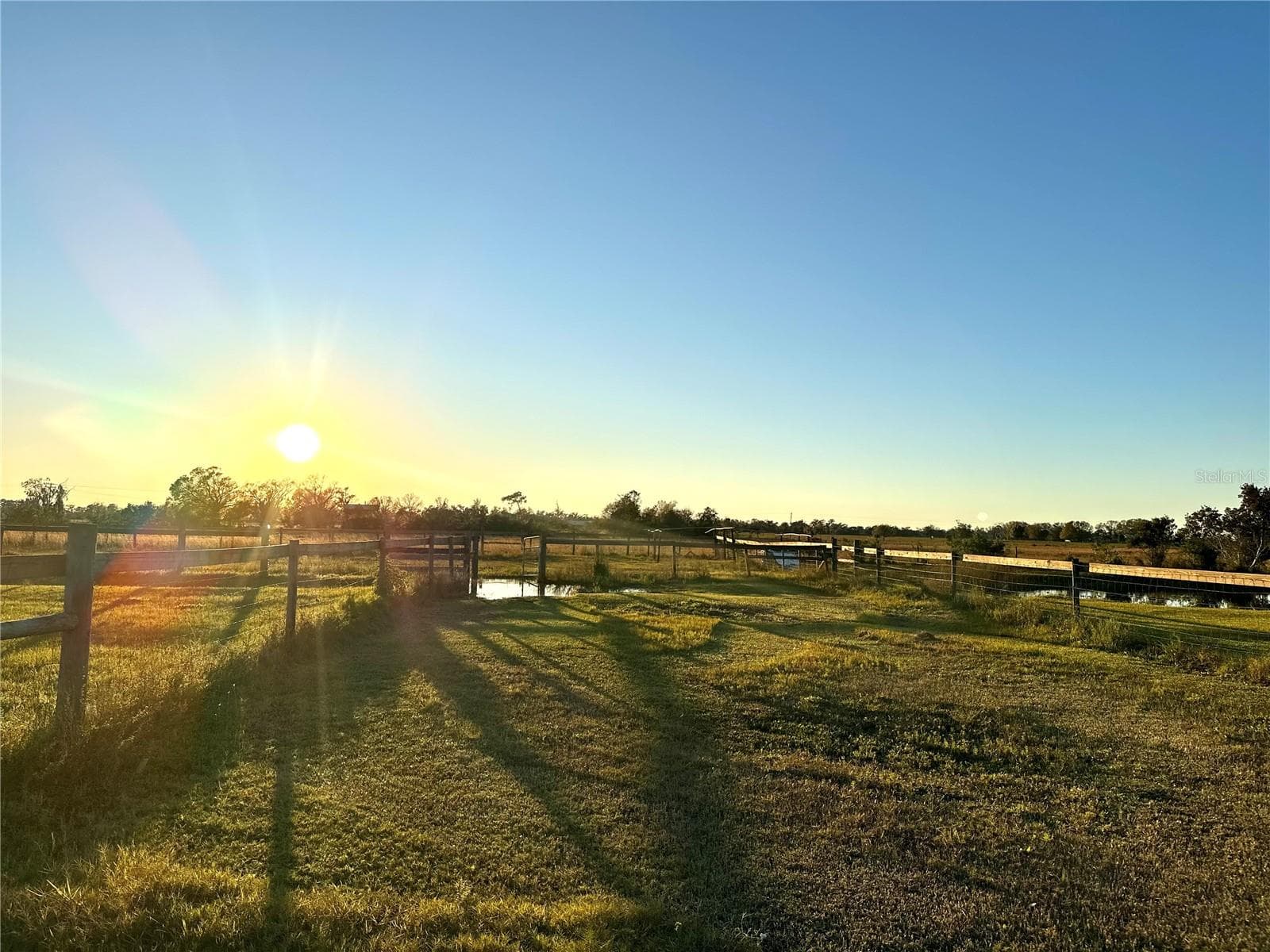 Pasture - 35495 SINGLETARY RD, MYAKKA CITY