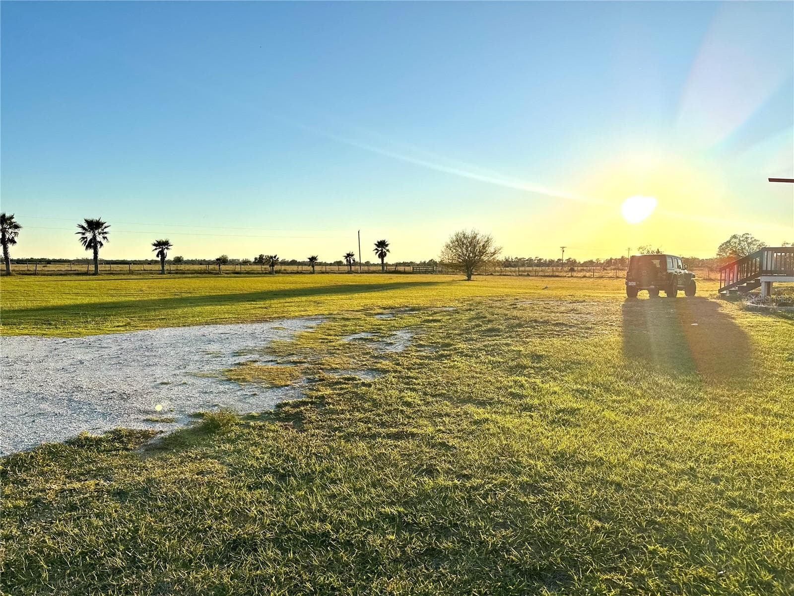 Front Yard - 35495 SINGLETARY RD, MYAKKA CITY