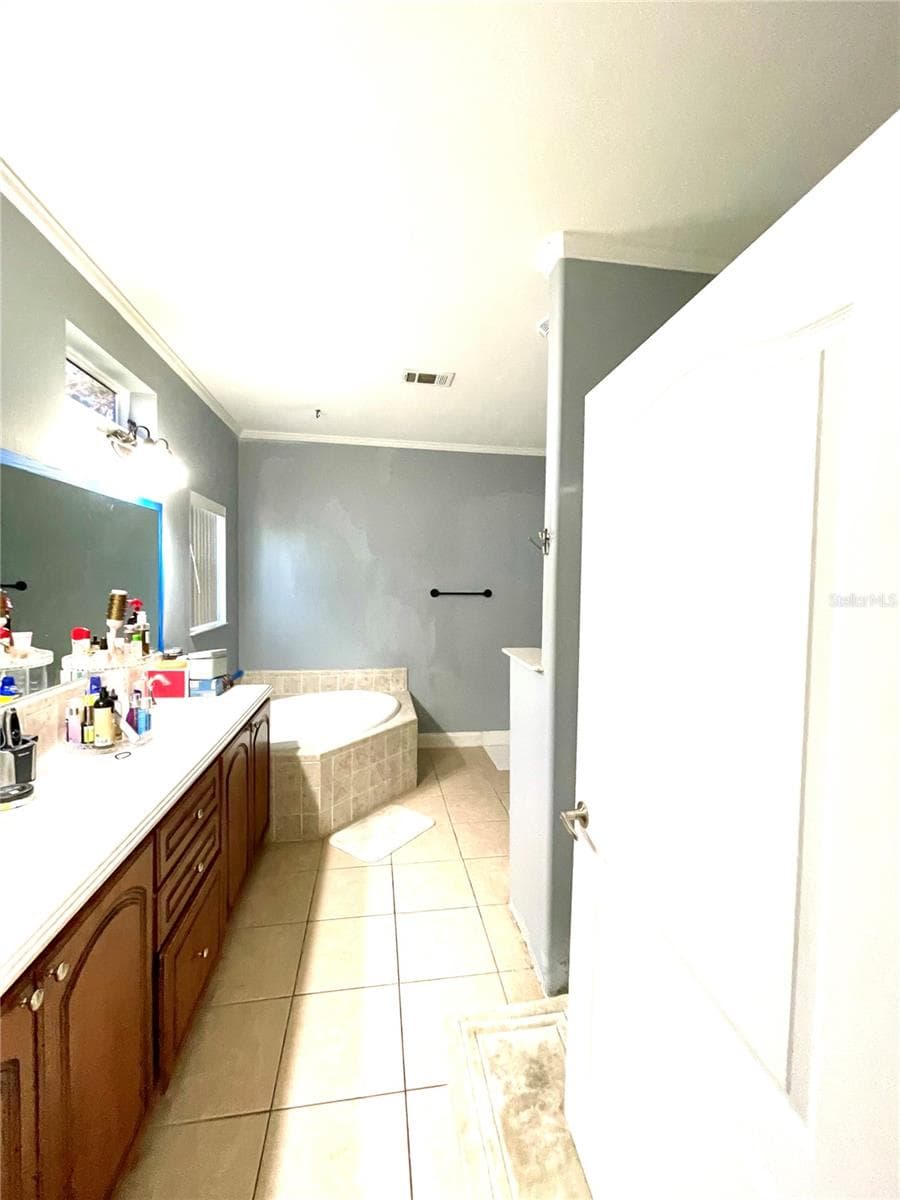 Master Bath - 35495 SINGLETARY RD, MYAKKA CITY