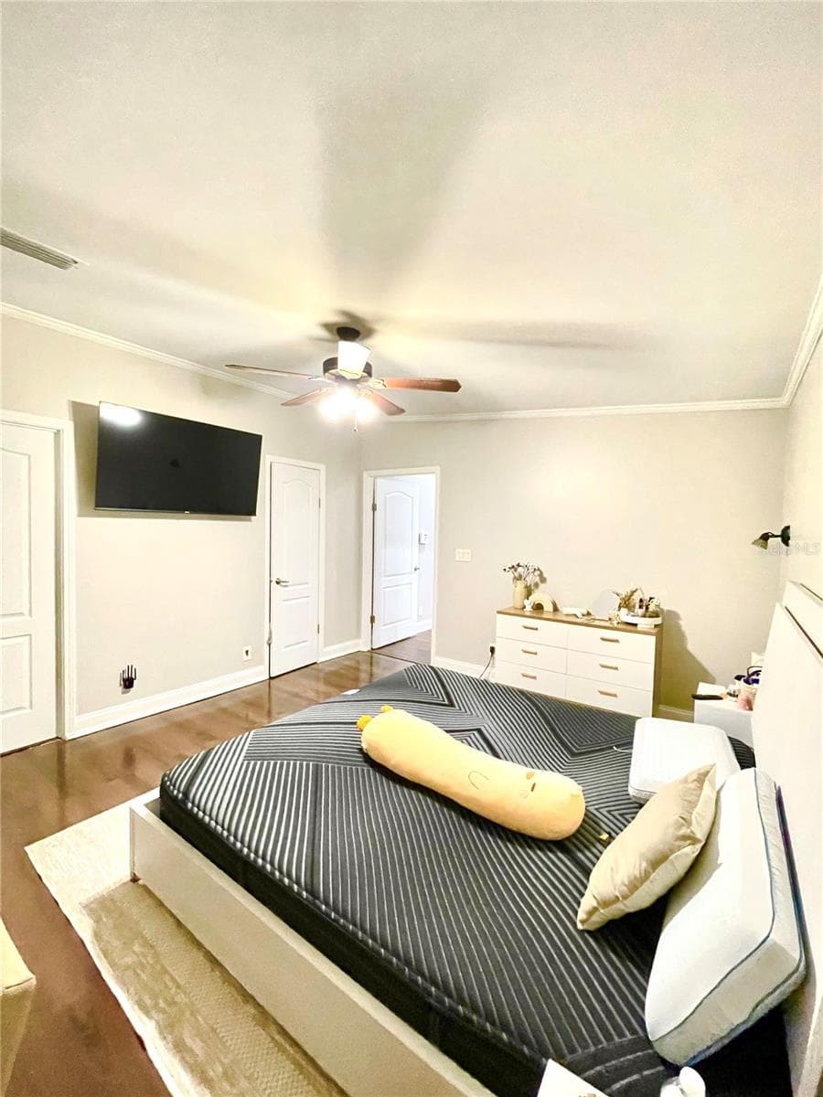 Master Bedroom - 35495 SINGLETARY RD, MYAKKA CITY