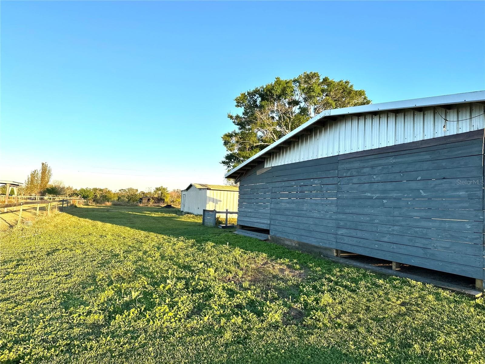 Back Yard Horse Run - 35495 SINGLETARY RD, MYAKKA CITY