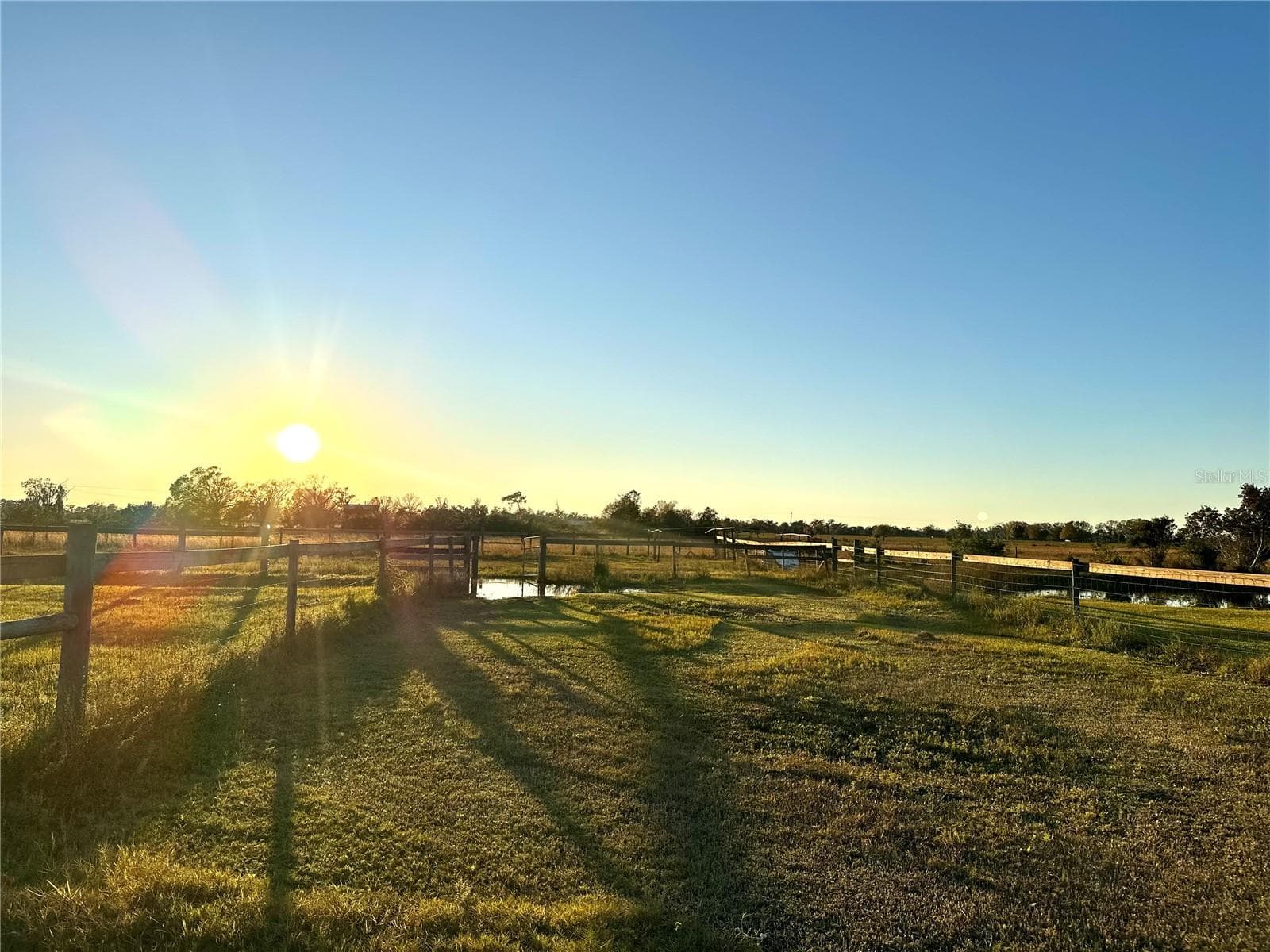 Pasture - 35495 SINGLETARY RD, MYAKKA CITY