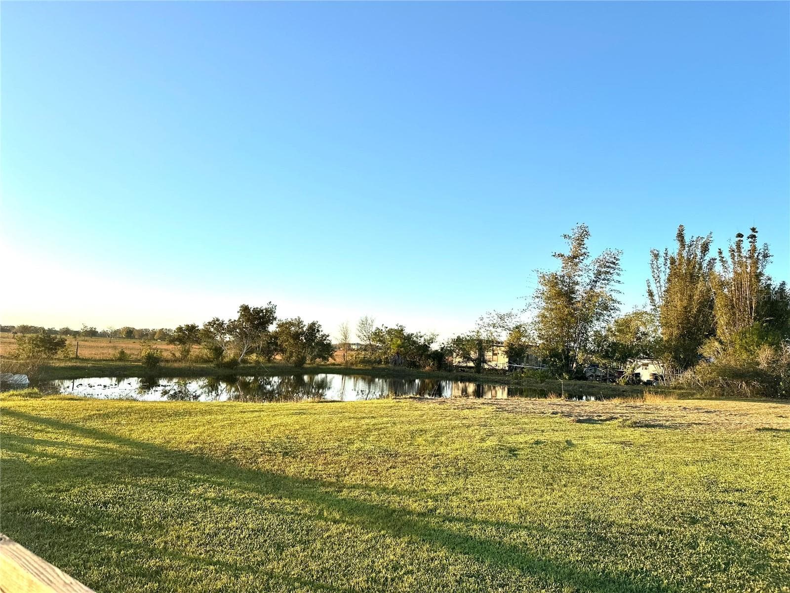 Pond Area - 35495 SINGLETARY RD, MYAKKA CITY