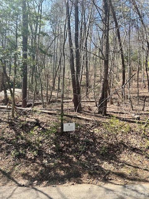 Lot at Lot 51 Fairway Drive, Lake Lure, photo 2 of 13