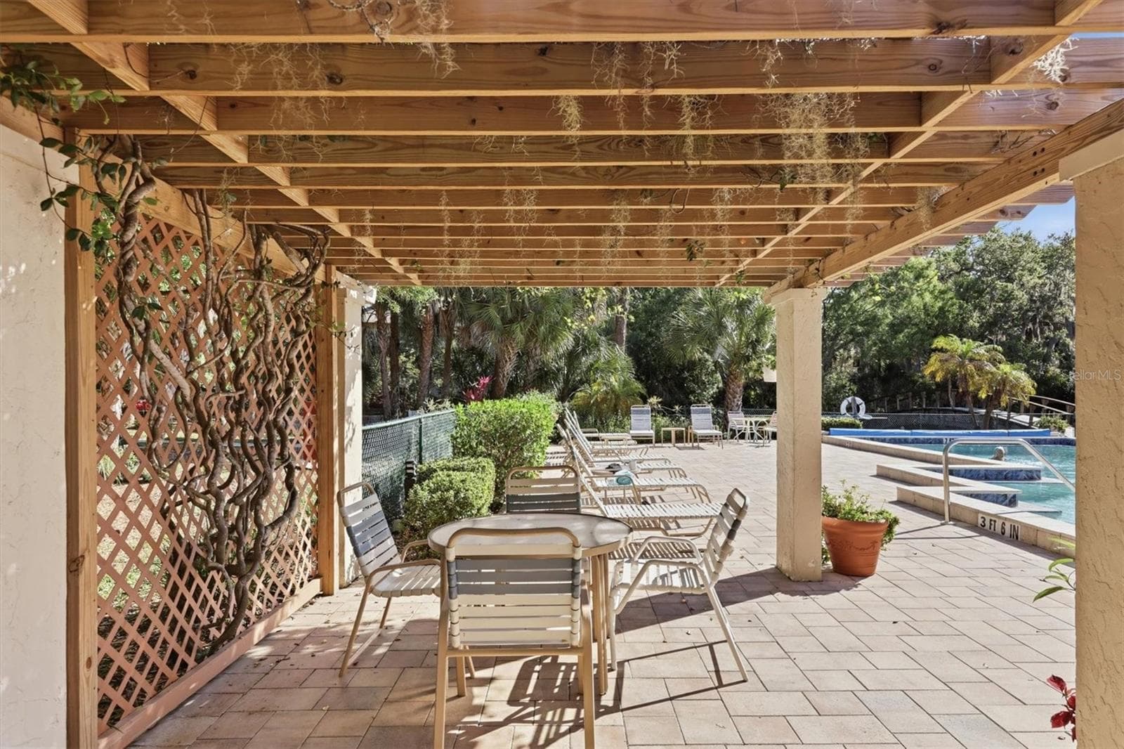 Pergola area - 3351 THORNWOOD RD #3351, SARASOTA