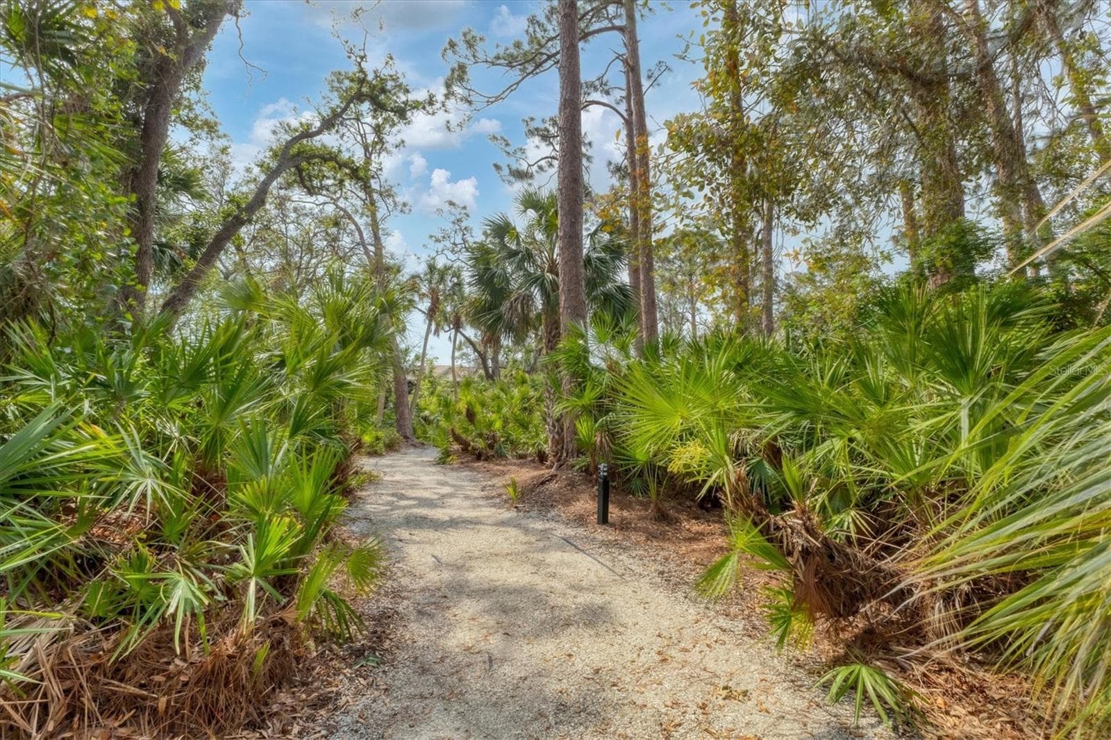 Winding pathway within natural landscapes - 3351 THORNWOOD RD #3351, SARASOTA