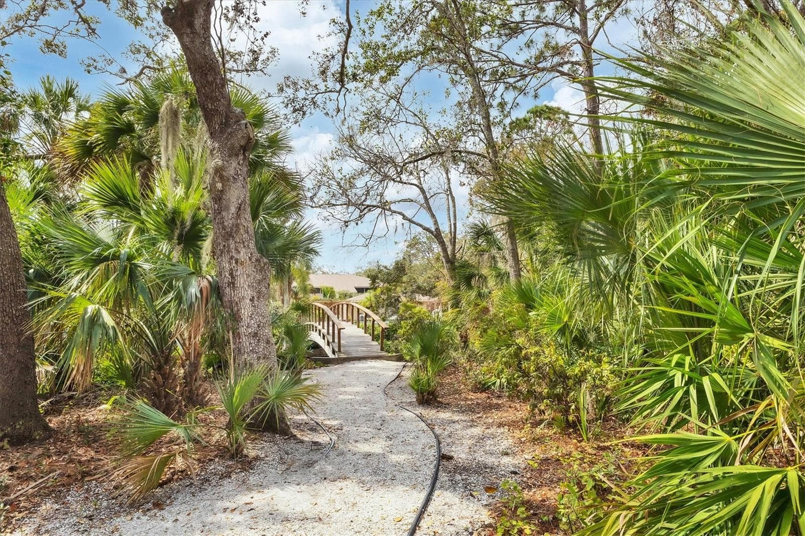 Winding pathway to wooden footbridge - 3351 THORNWOOD RD #3351, SARASOTA