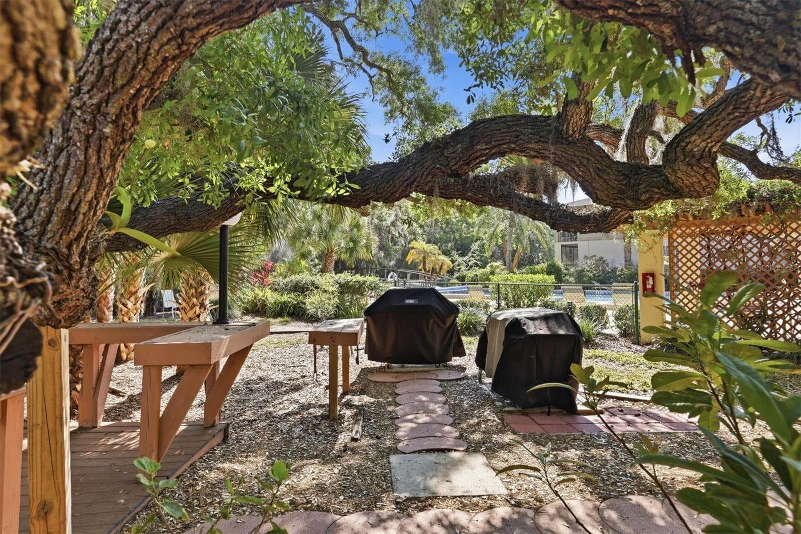 Grilling area at Gazebo and pool area - 3351 THORNWOOD RD #3351, SARASOTA