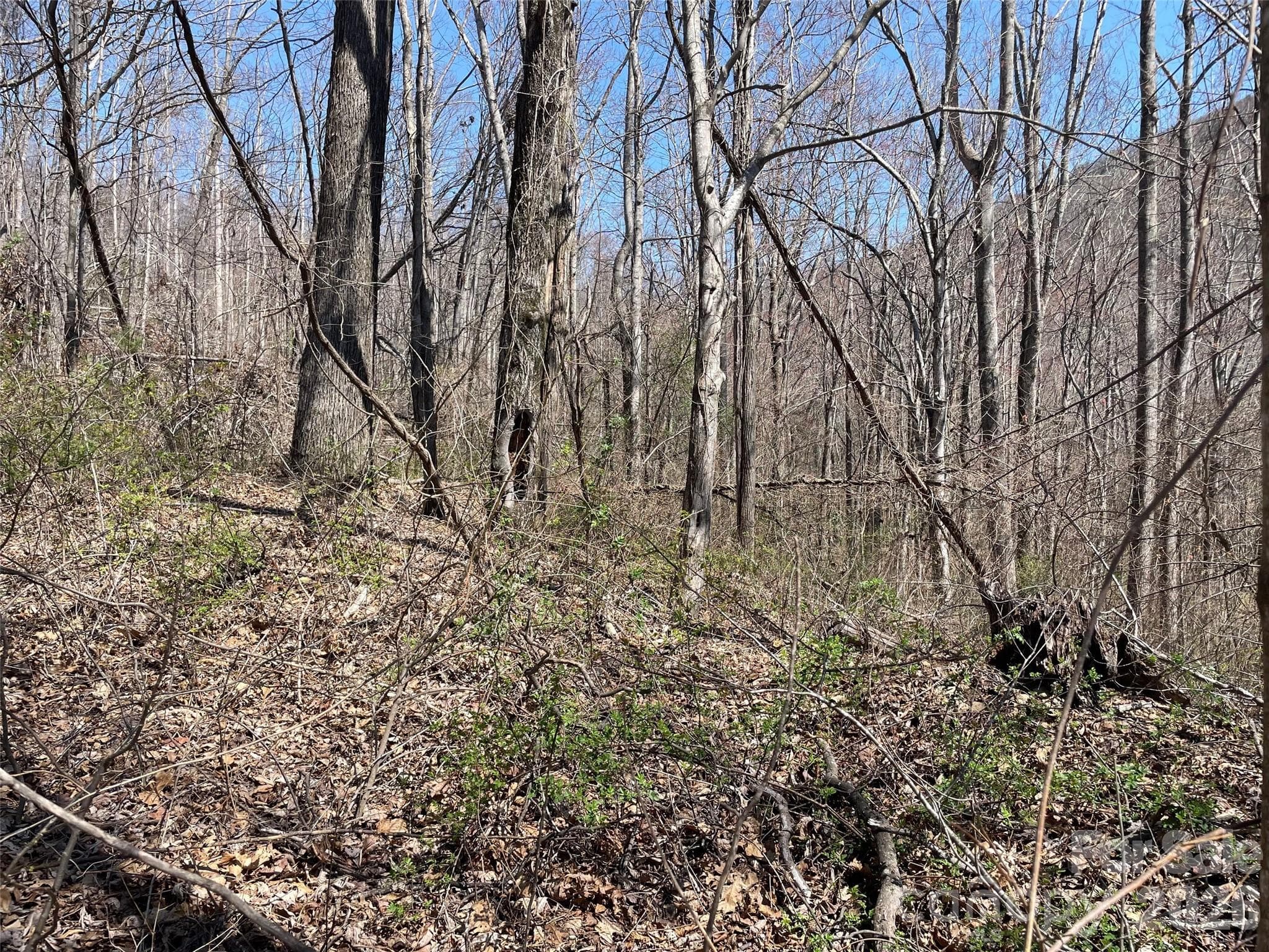 Acreage at Hendersonville, photo 2 of 4