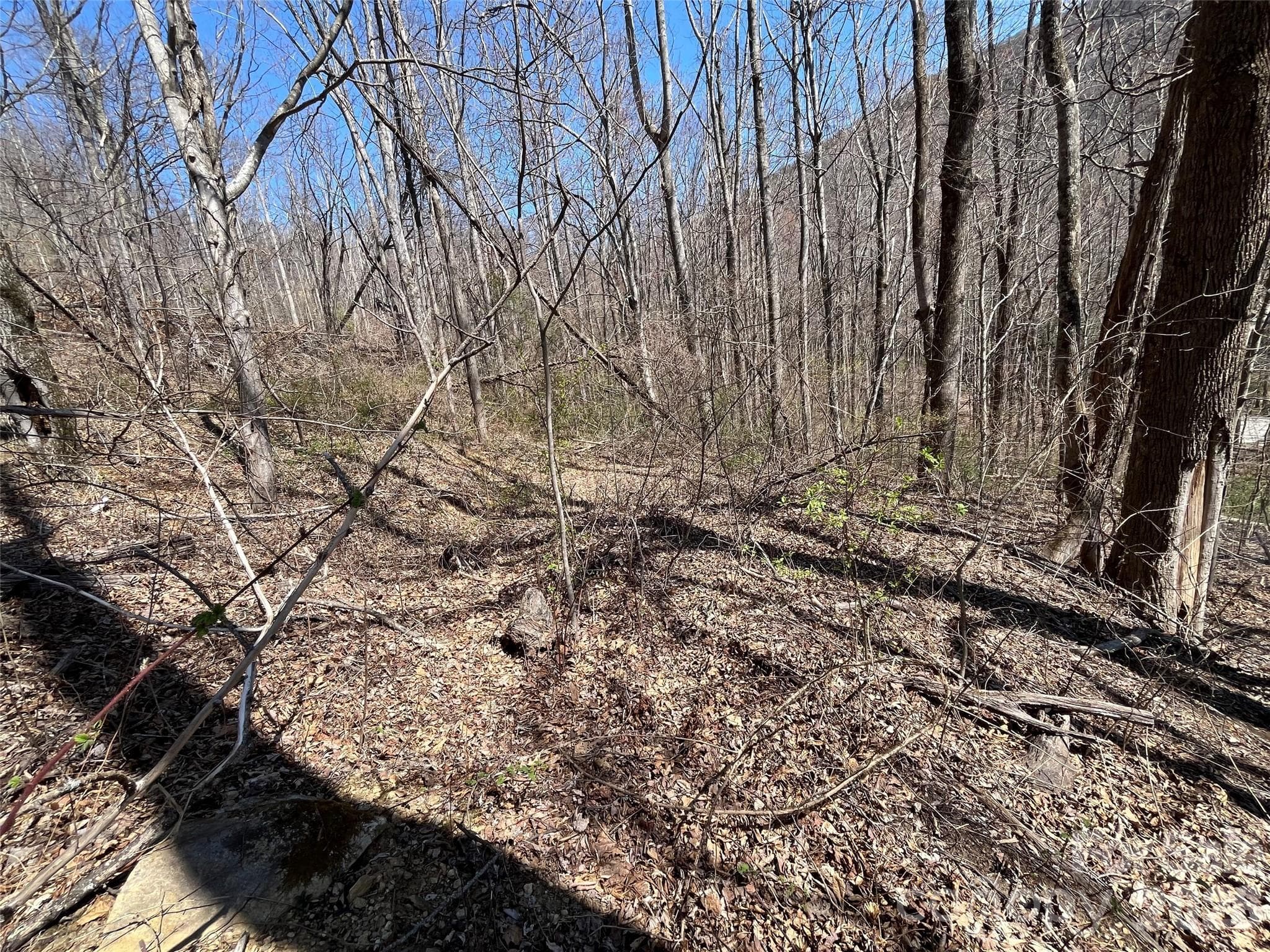 Acreage at Hendersonville, photo 3 of 4