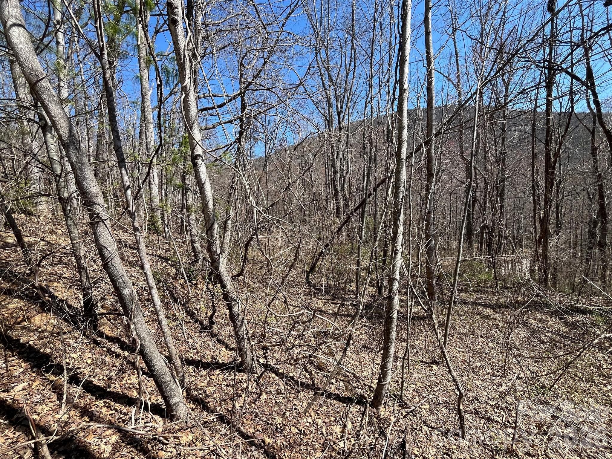 Acreage at Hendersonville, photo 4 of 4