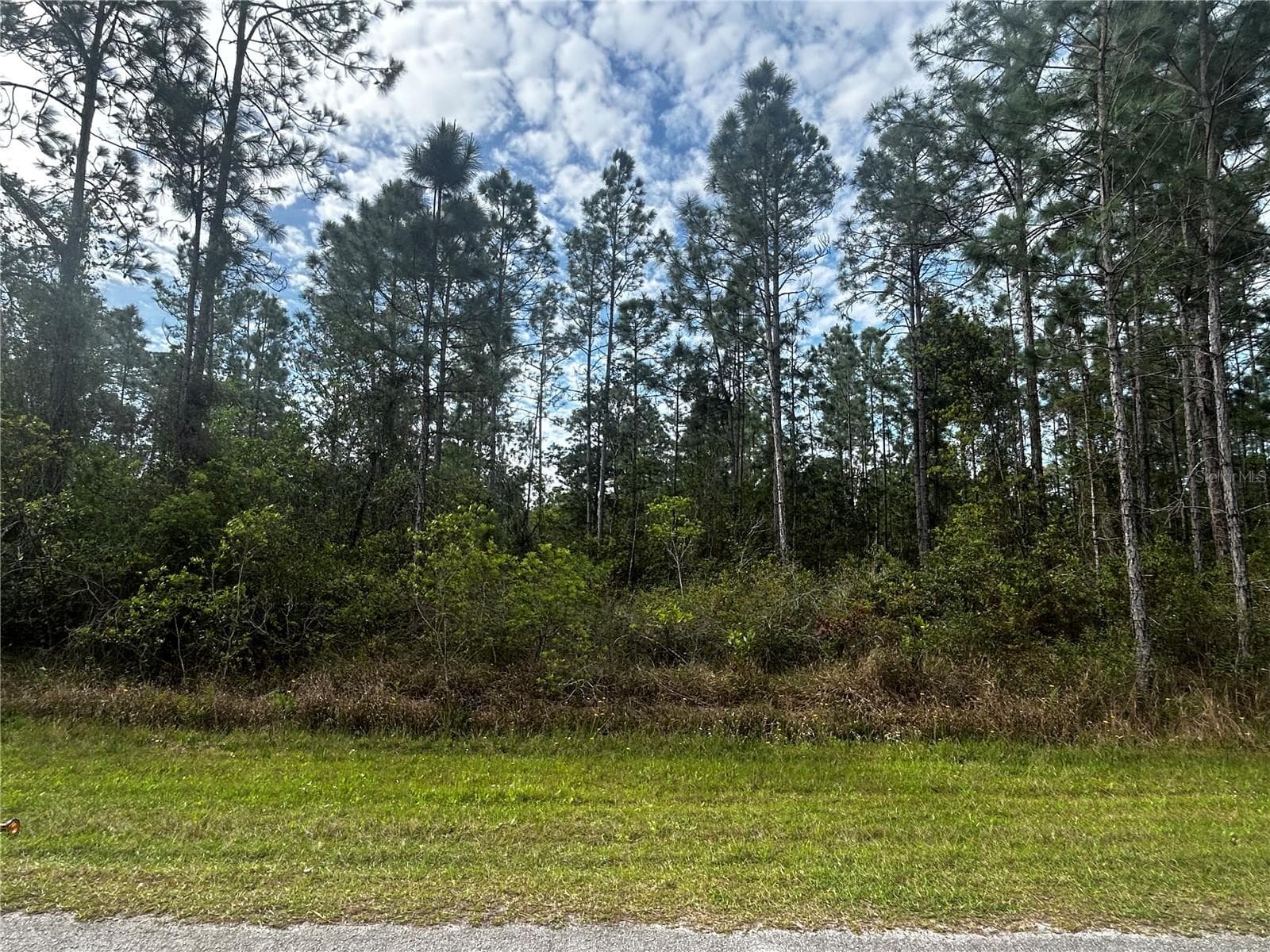 207 GARDENIA DR