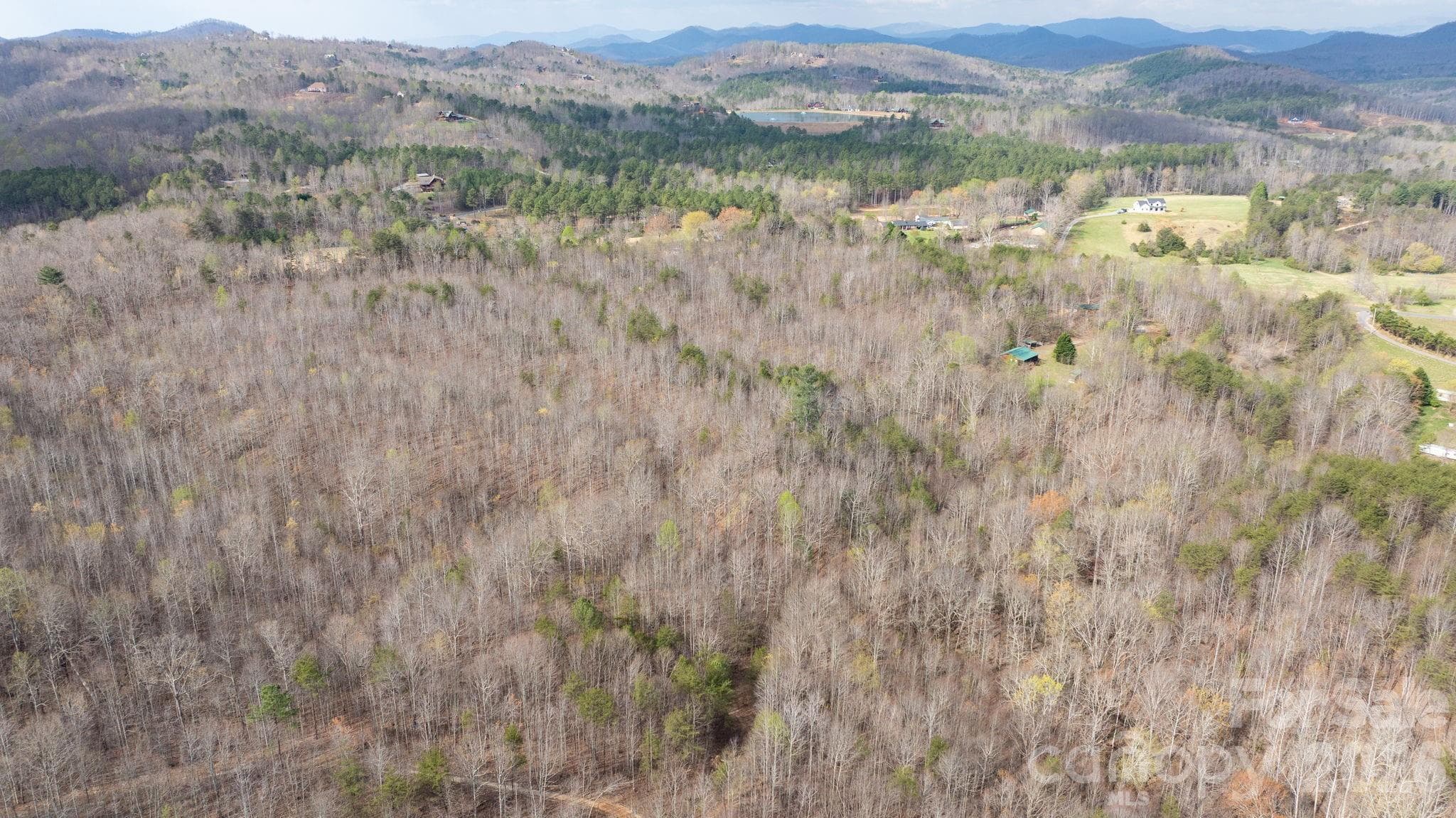 Acreage at TBD Joe Branch Road, Nebo, photo 6 of 20