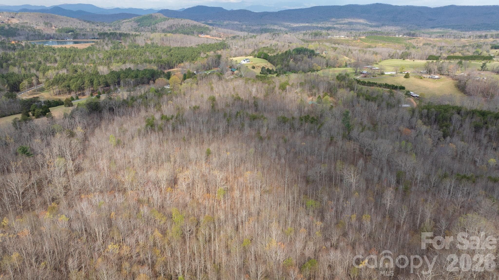 Acreage at TBD Joe Branch Road, Nebo, photo 9 of 20