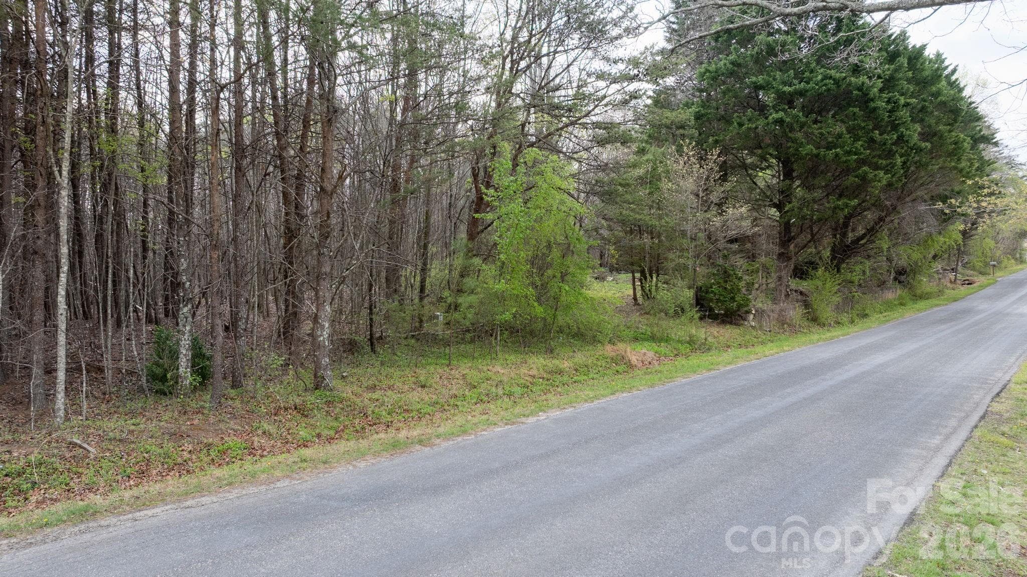 Acreage at TBD Joe Branch Road, Nebo, photo 12 of 20