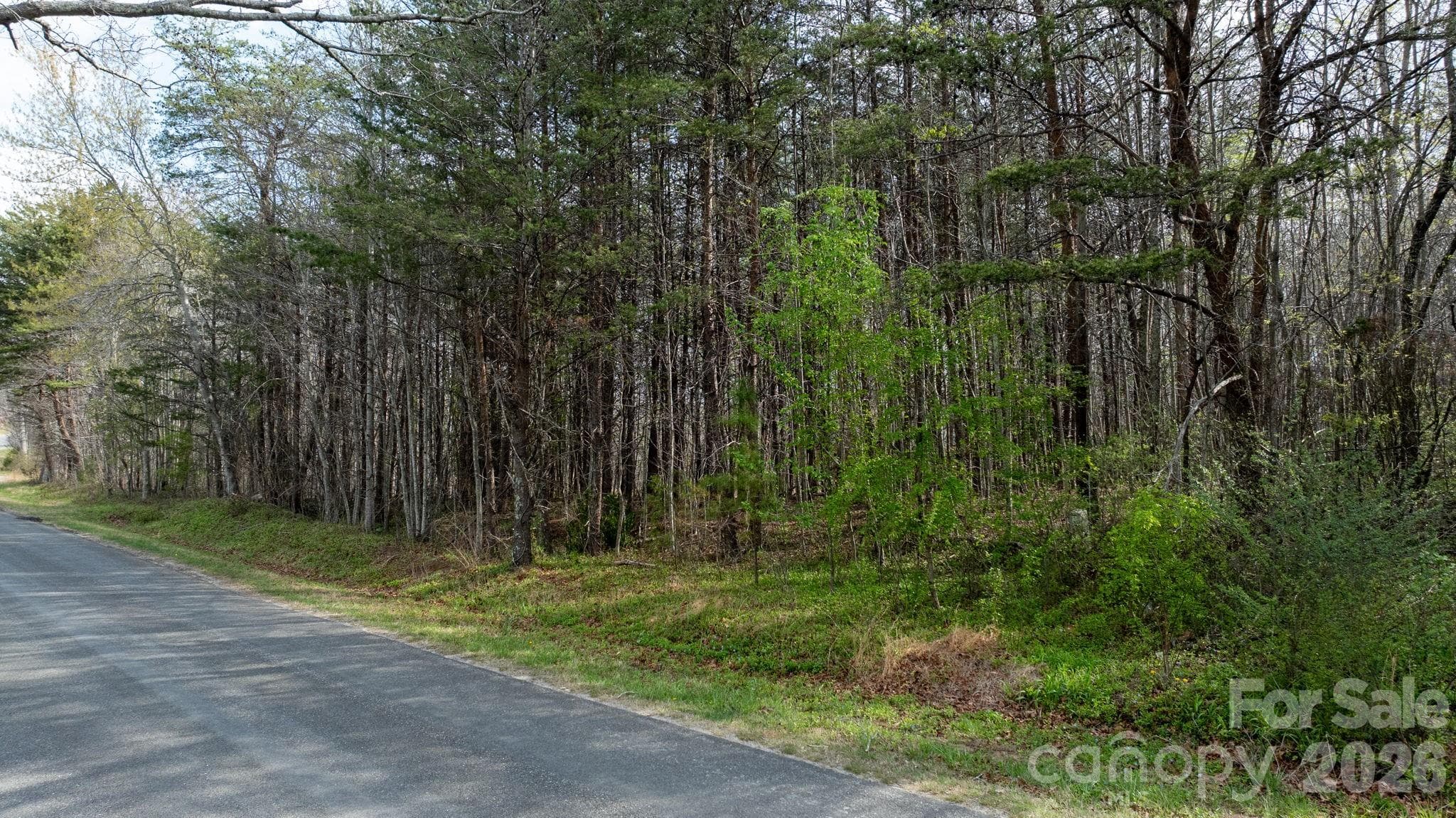 Acreage at TBD Joe Branch Road, Nebo, photo 13 of 20