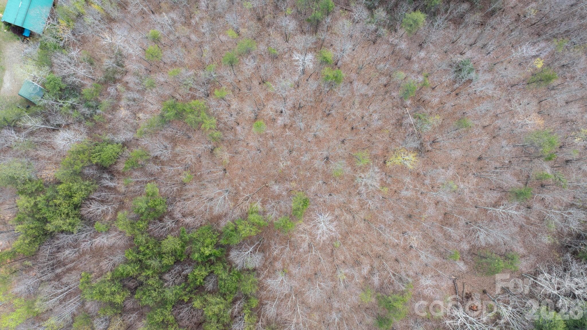 Acreage at TBD Joe Branch Road, Nebo, photo 19 of 20