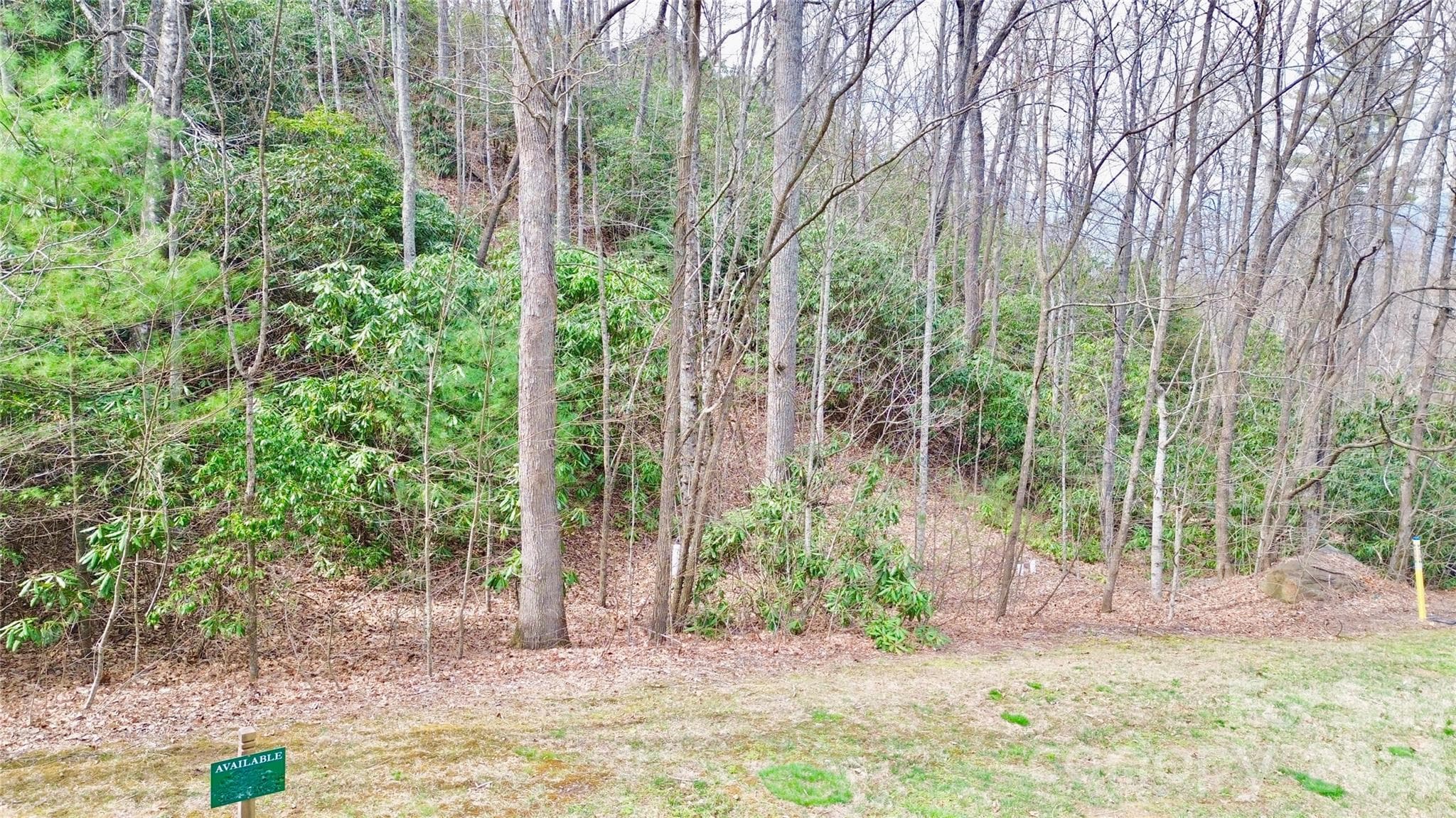 Lot at Black Mountain, photo 4 of 8