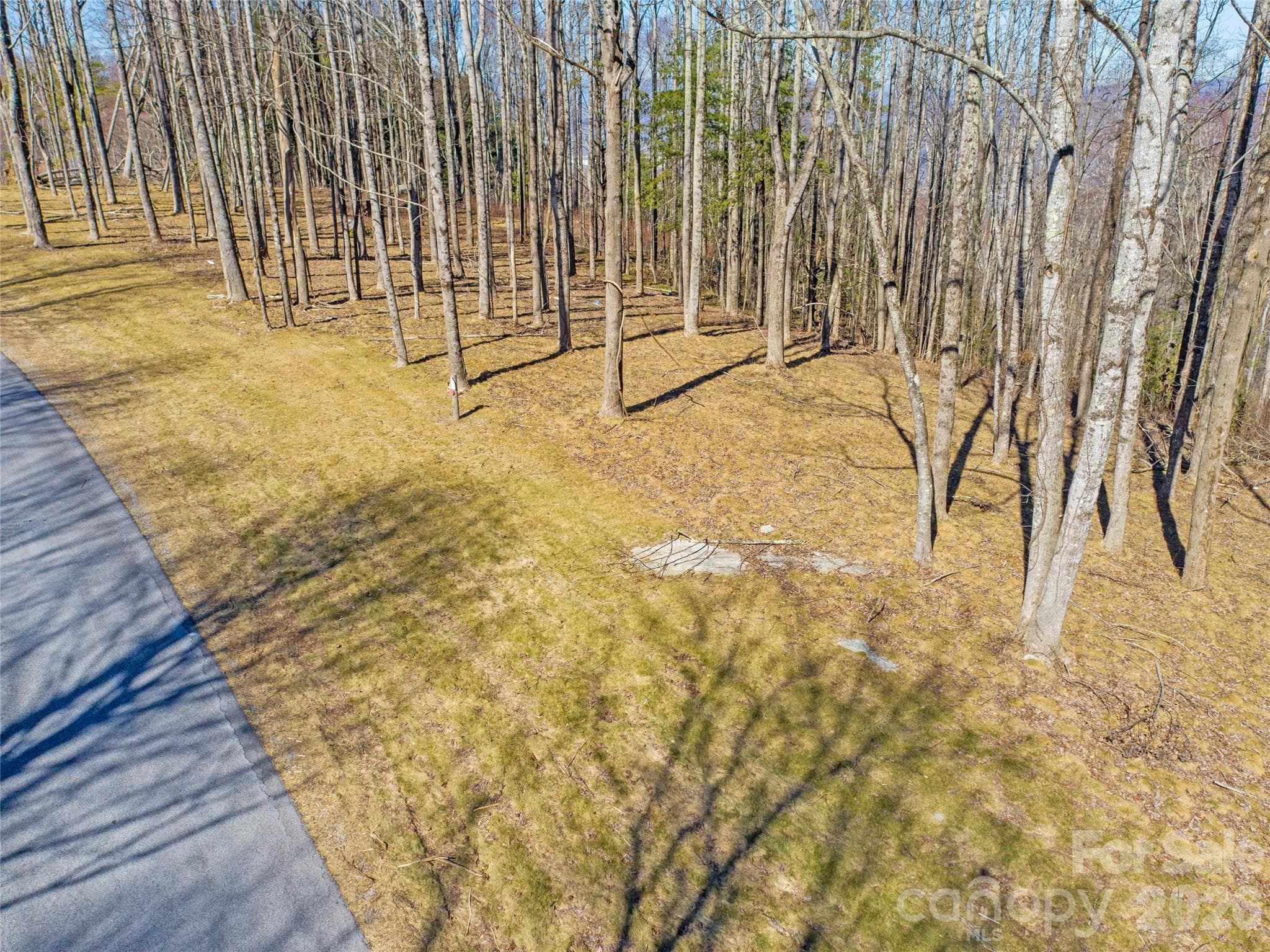 Aerial View of lot 16 - Hendersonville